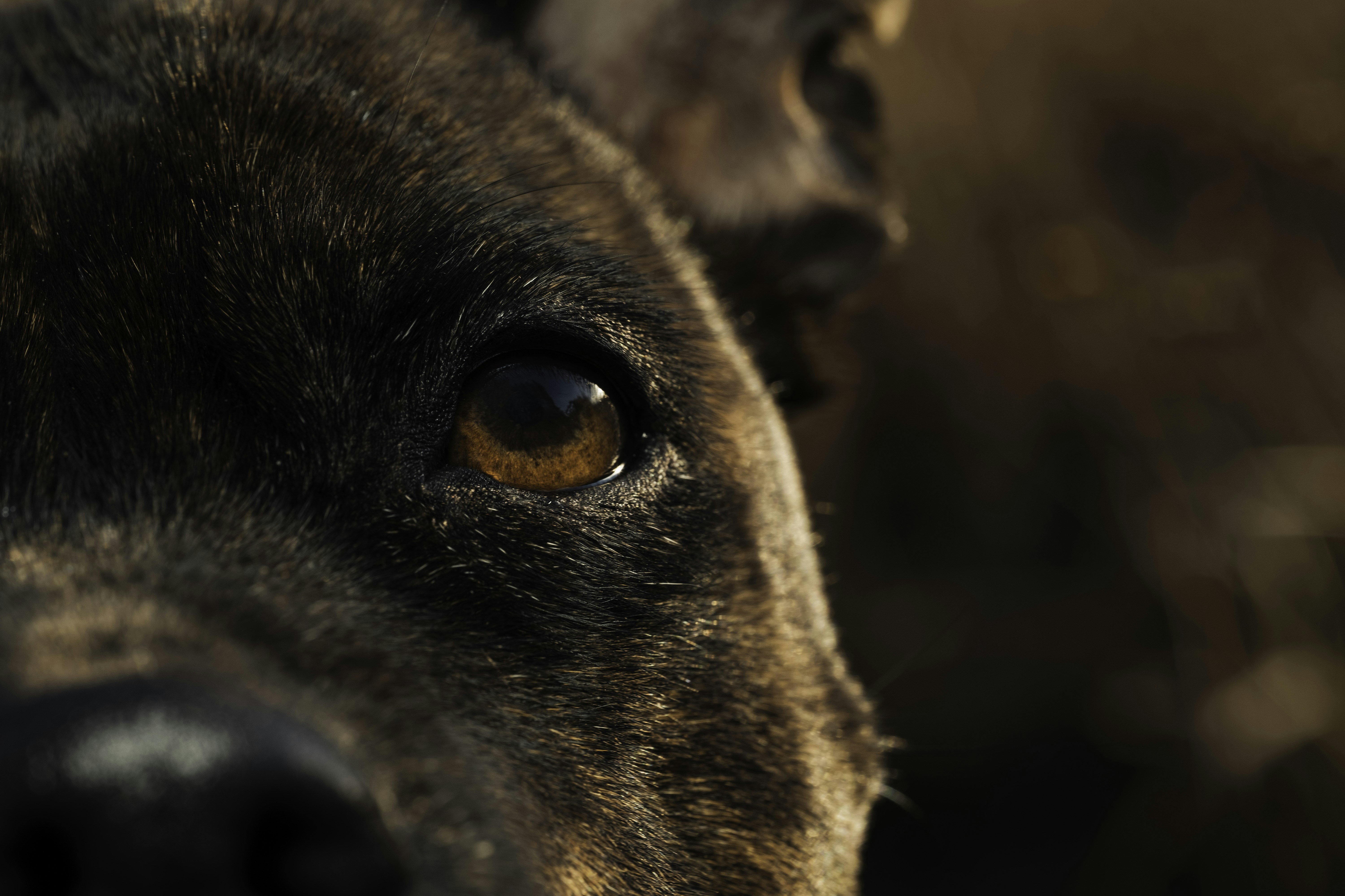 Photo by victor_vector