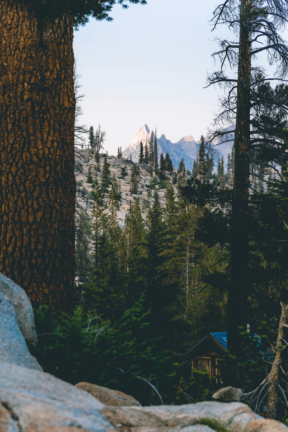 a view of a mountain through the trees