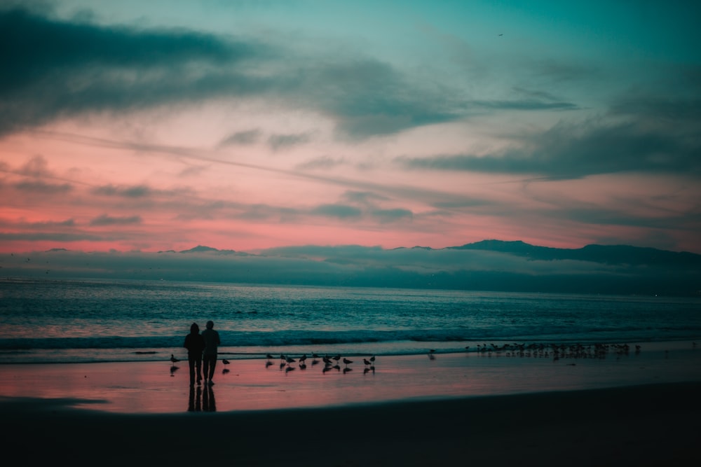 a couple of people standing on top of a beach