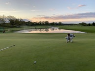 A golfer lining up a putt on a smooth green under soft afternoon light.