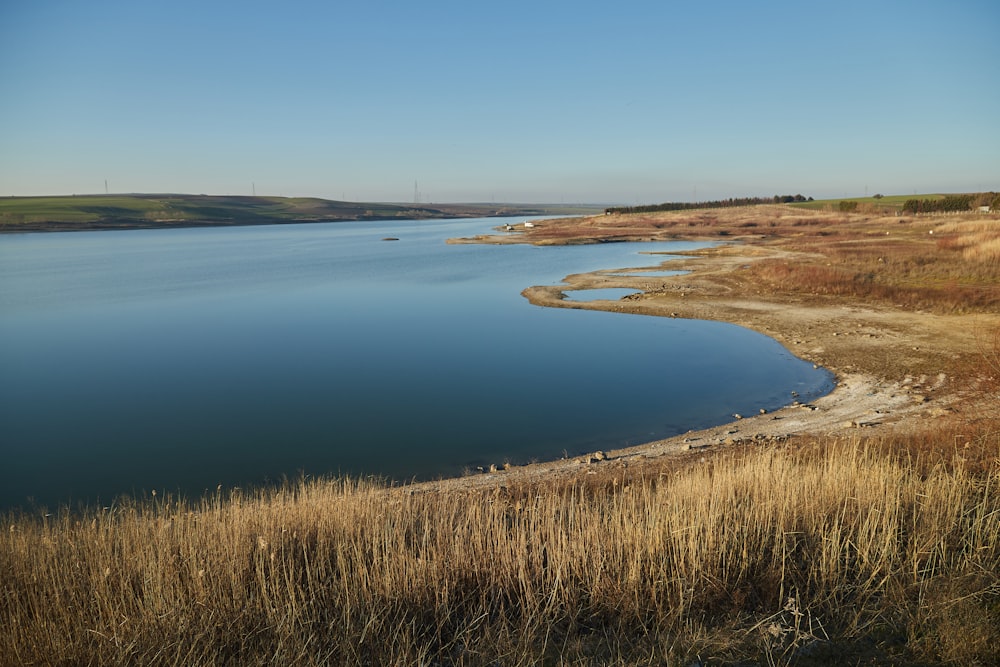 a large body of water surrounded by dry grass