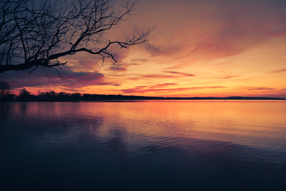 a sunset over a body of water with a tree in the foreground