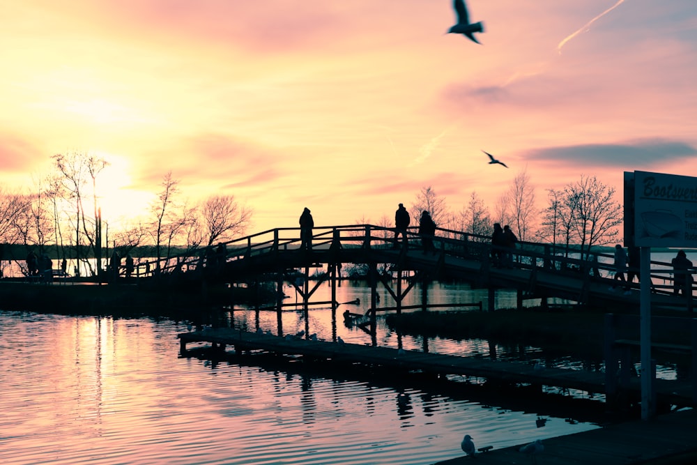 a bird flying over a bridge over a body of water