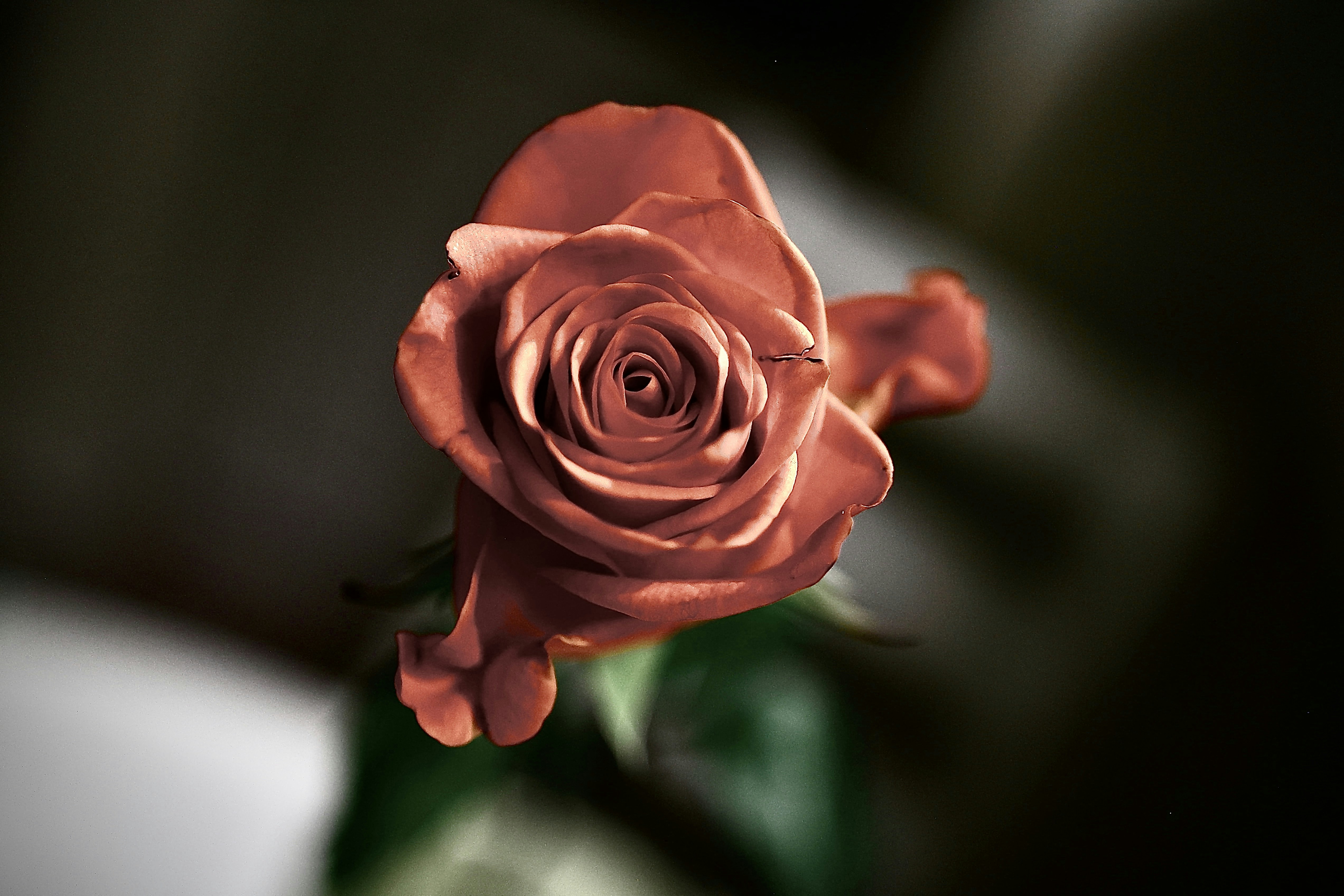 Heartfelt Happy Birthday Blessings & Wishes for Best Friend