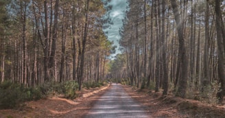 A serene woman in her 40s enjoying a peaceful walk through a sunlit forest path.