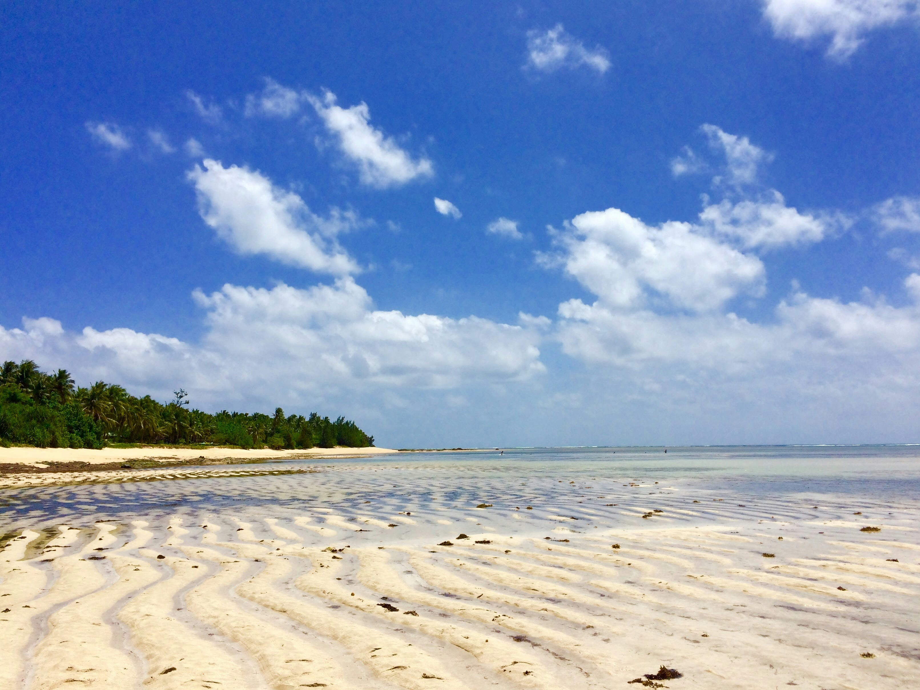 Photo by karlashborn