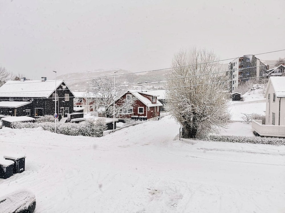 a snow covered street with houses and trees