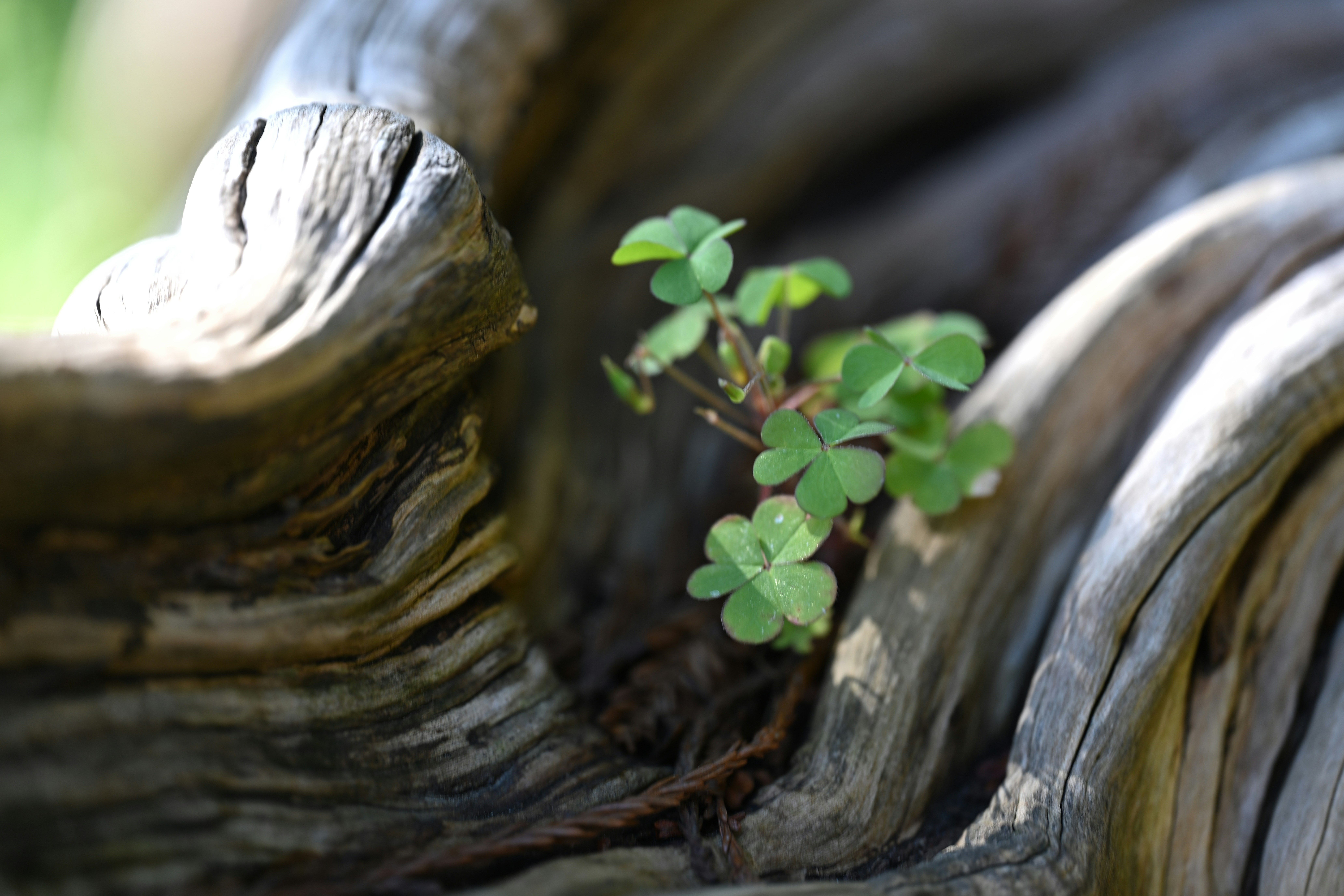 Photo by theunknownaldiaz