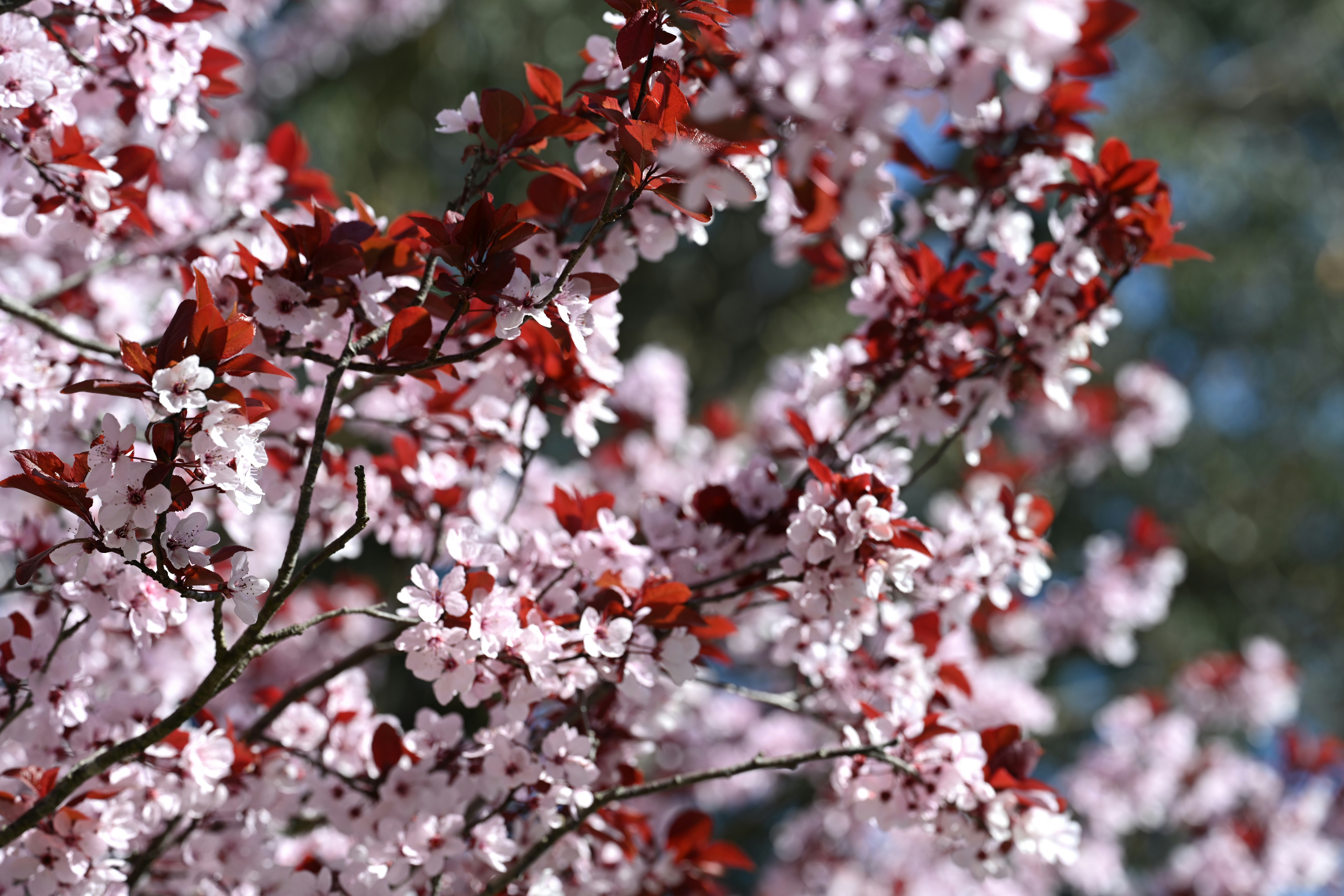 Photo by theunknownaldiaz