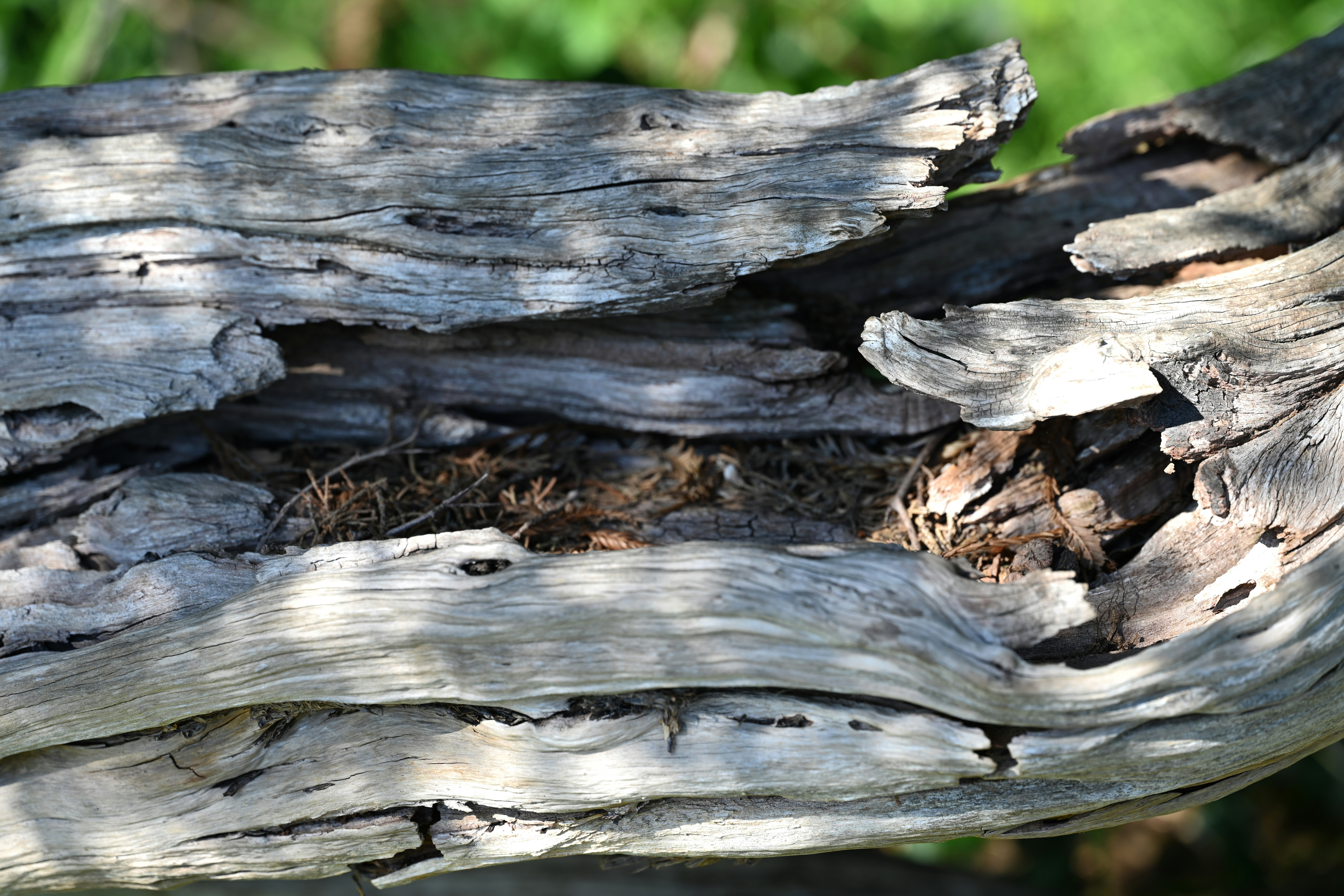 Ocean Driftwood Table