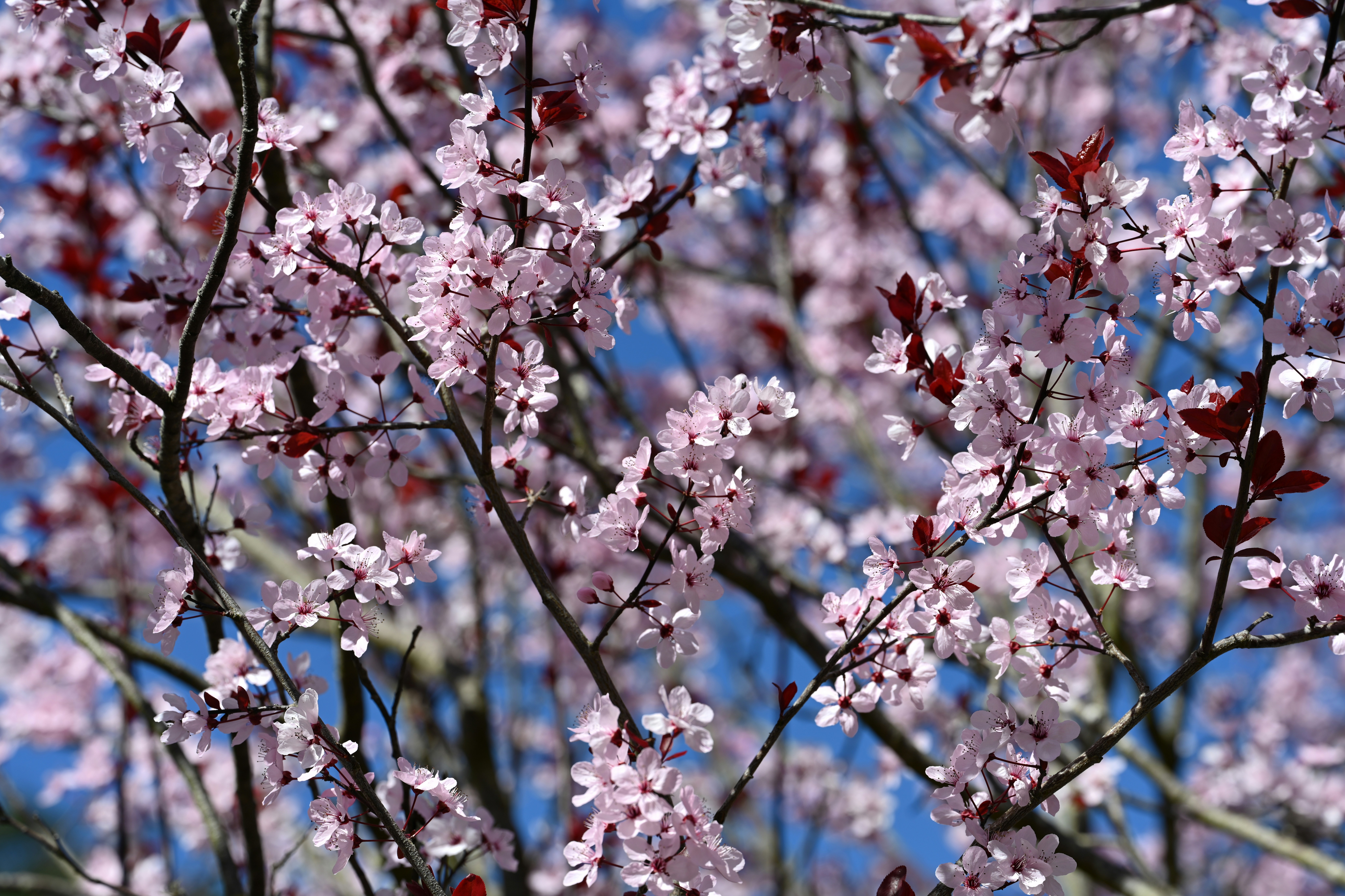 Photo by theunknownaldiaz