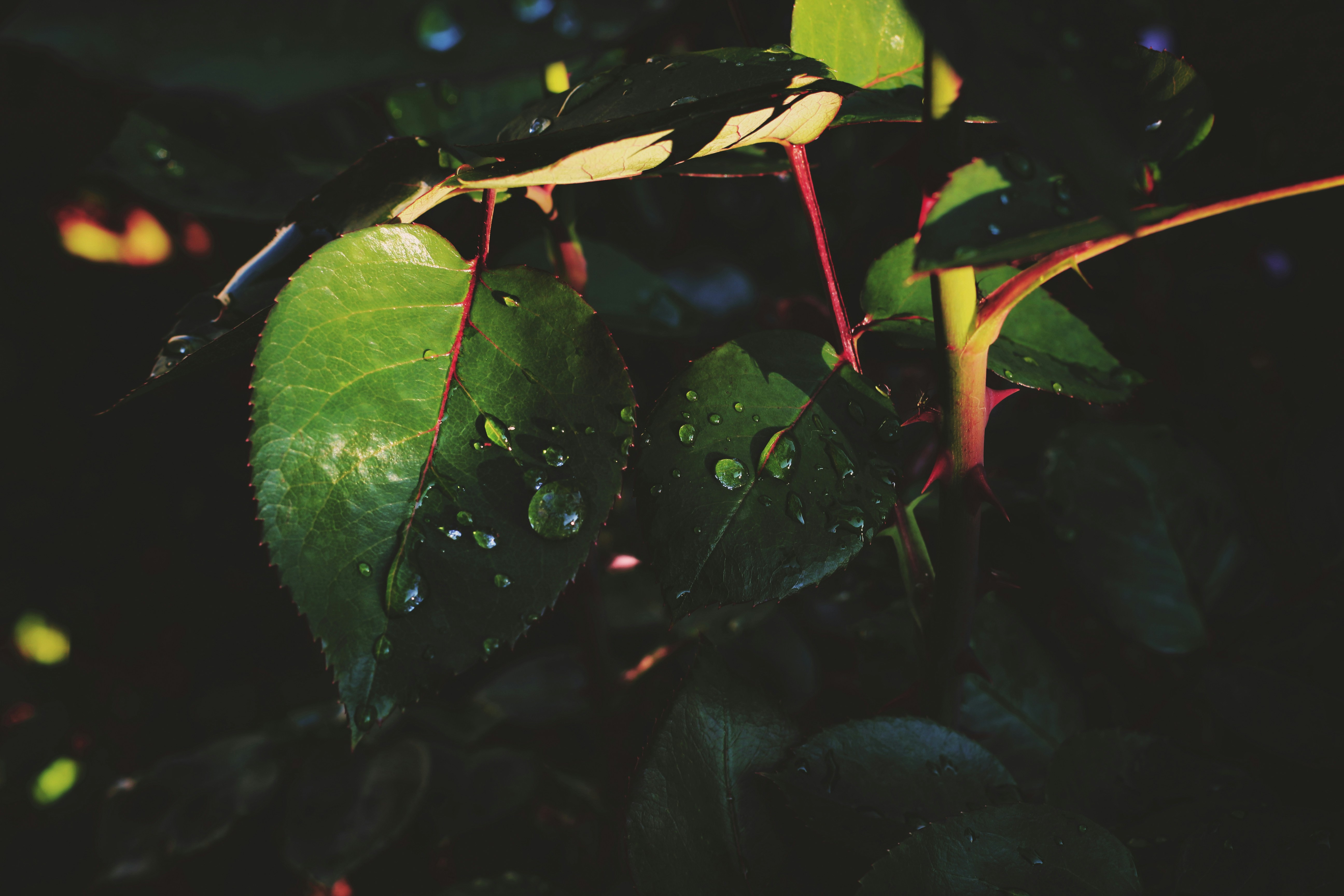 Photo by miloslopusina