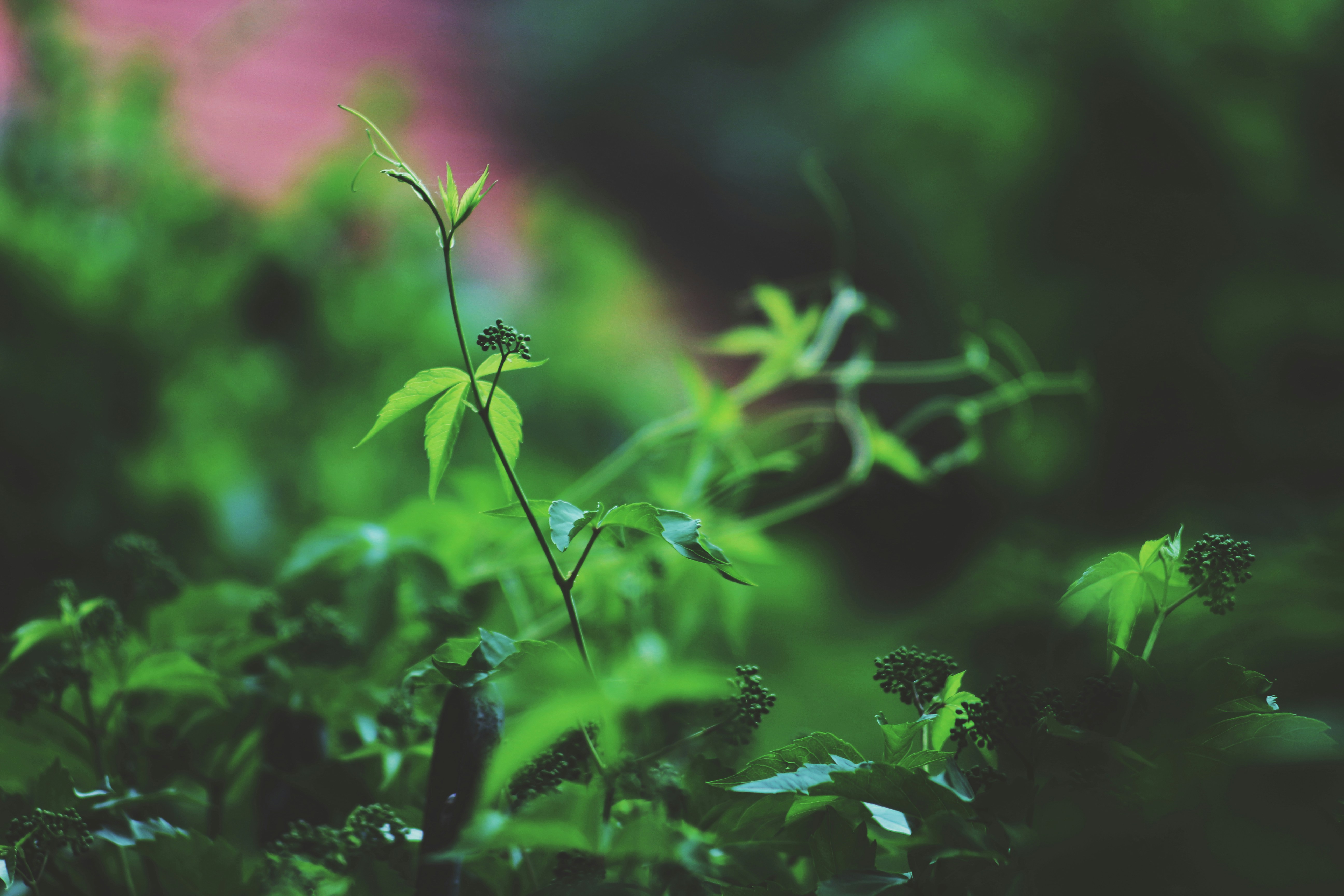 Photo by miloslopusina