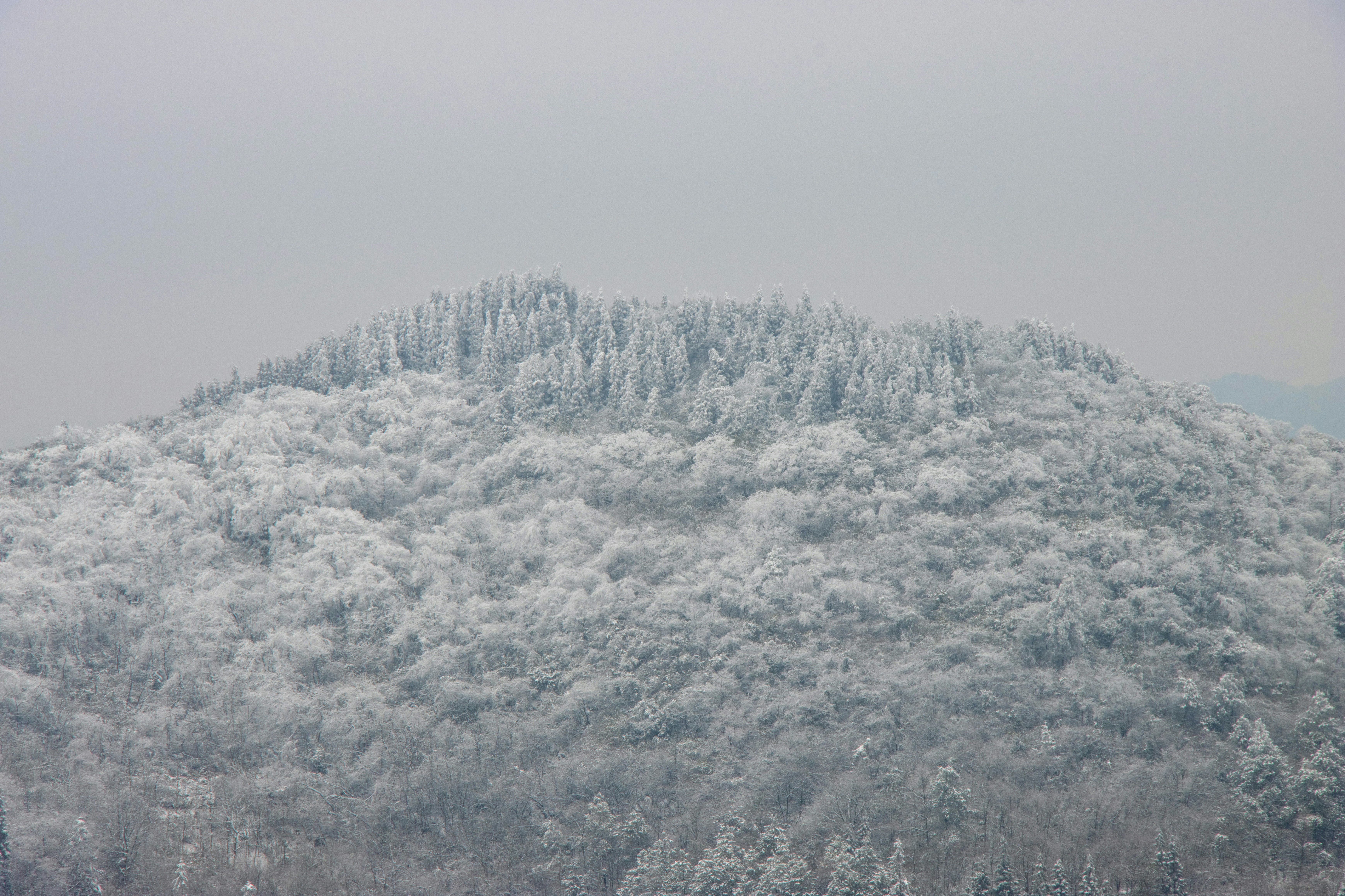 Photo by ritsuka