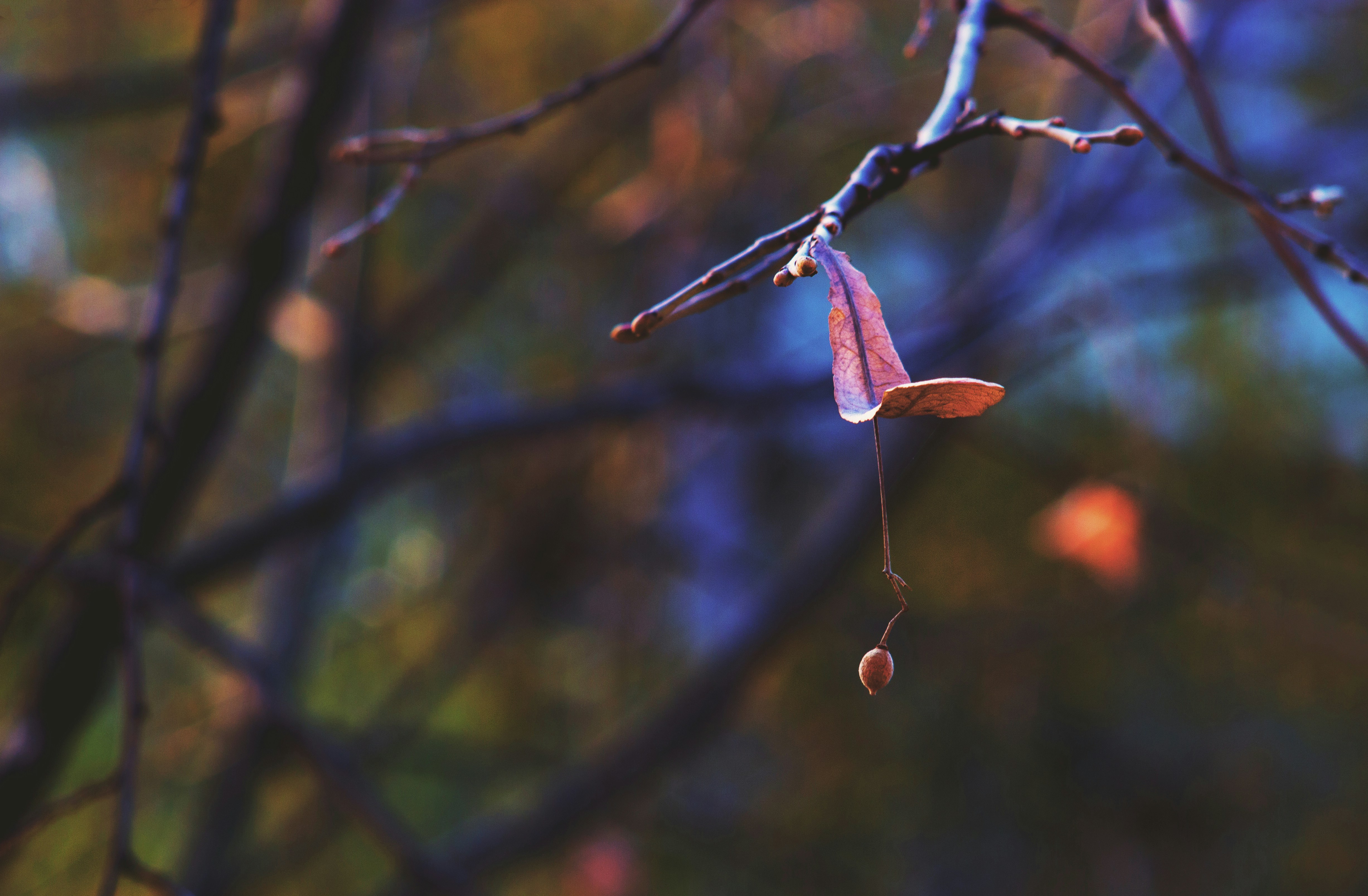 Photo by miloslopusina