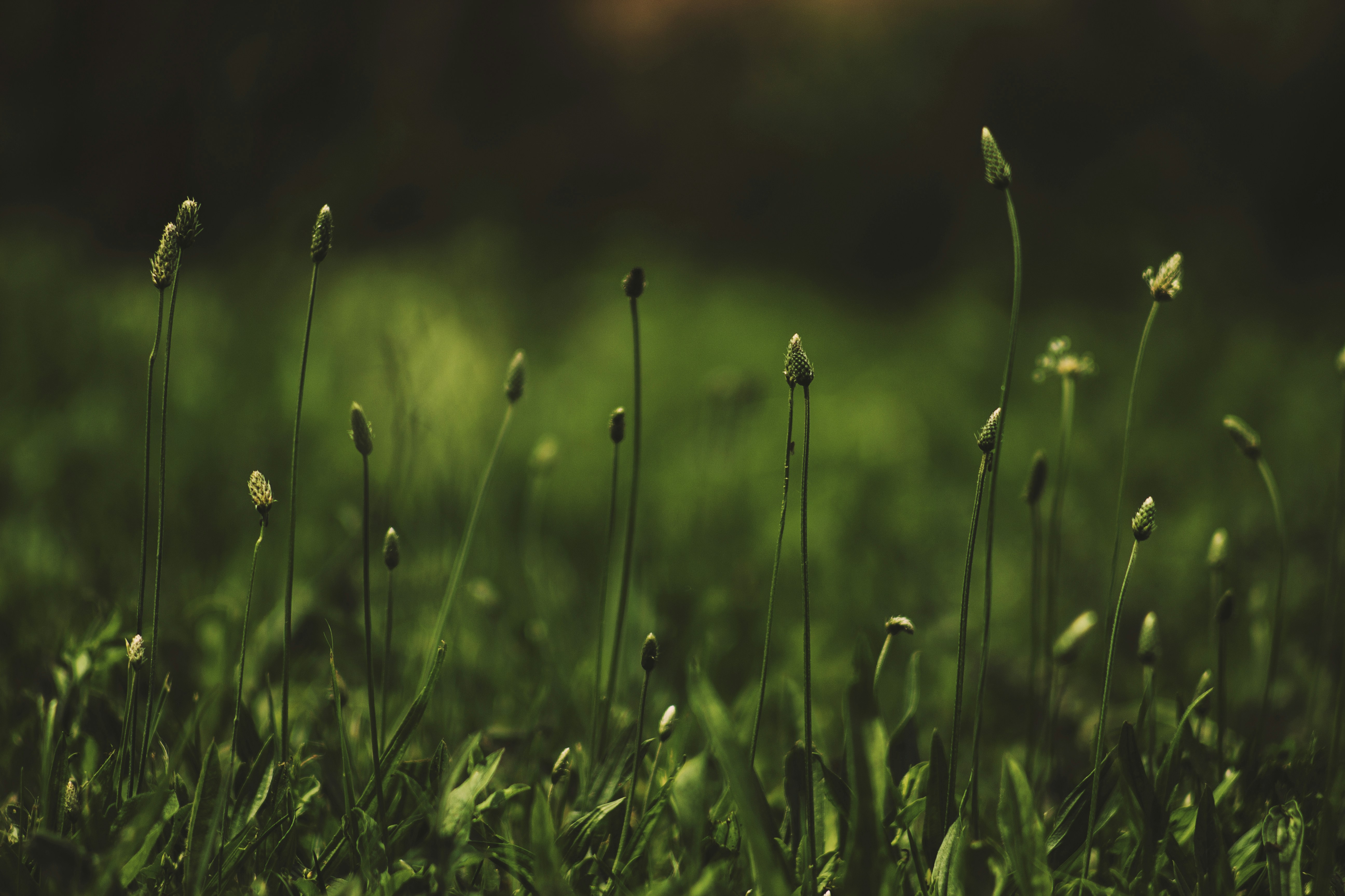 Photo by miloslopusina