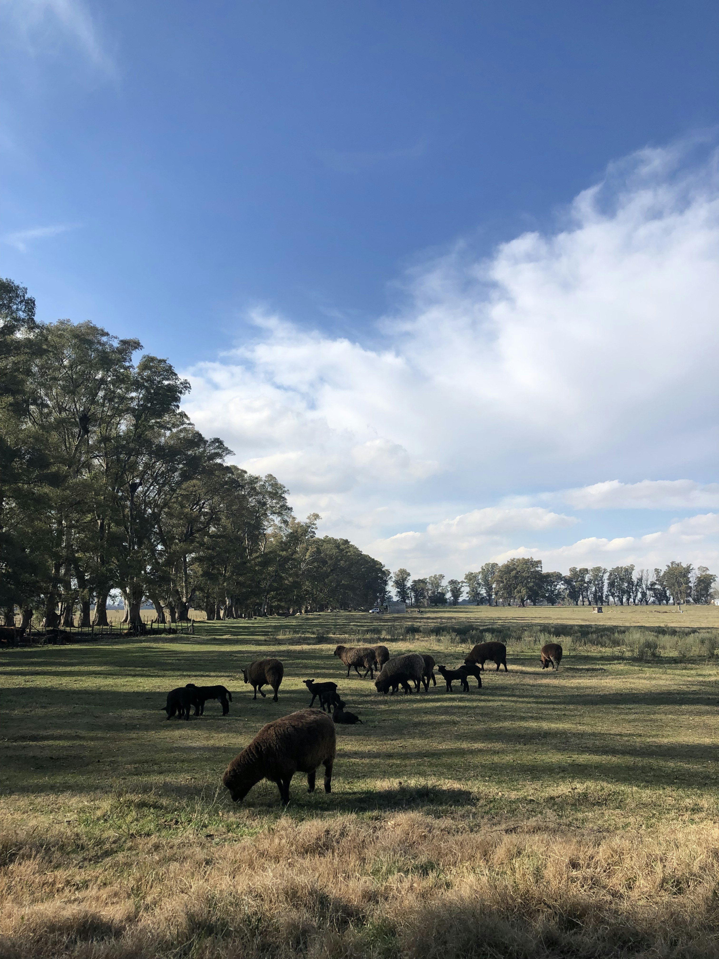 Photo by emiliamazzocchi98