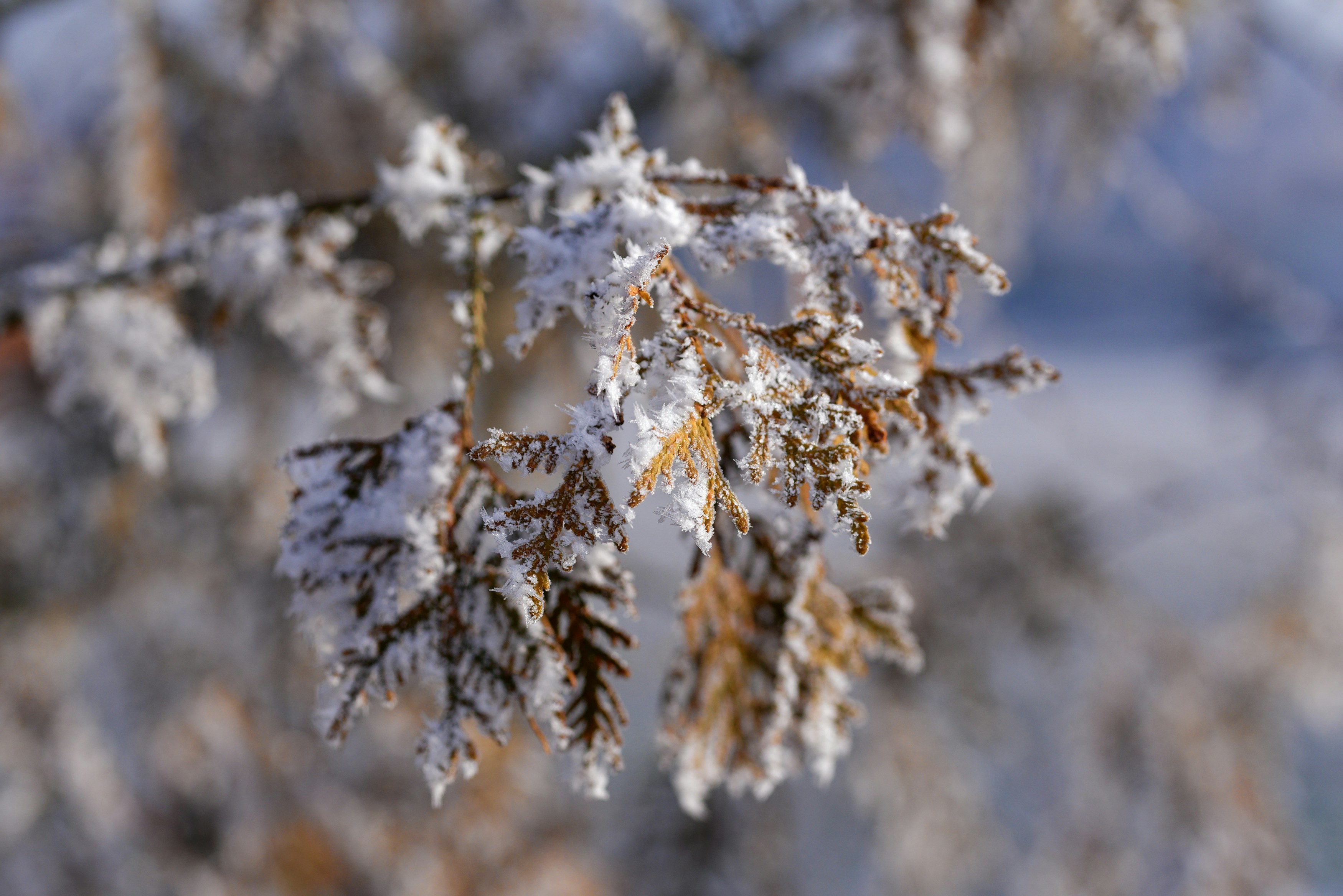 Photo by designbytholen