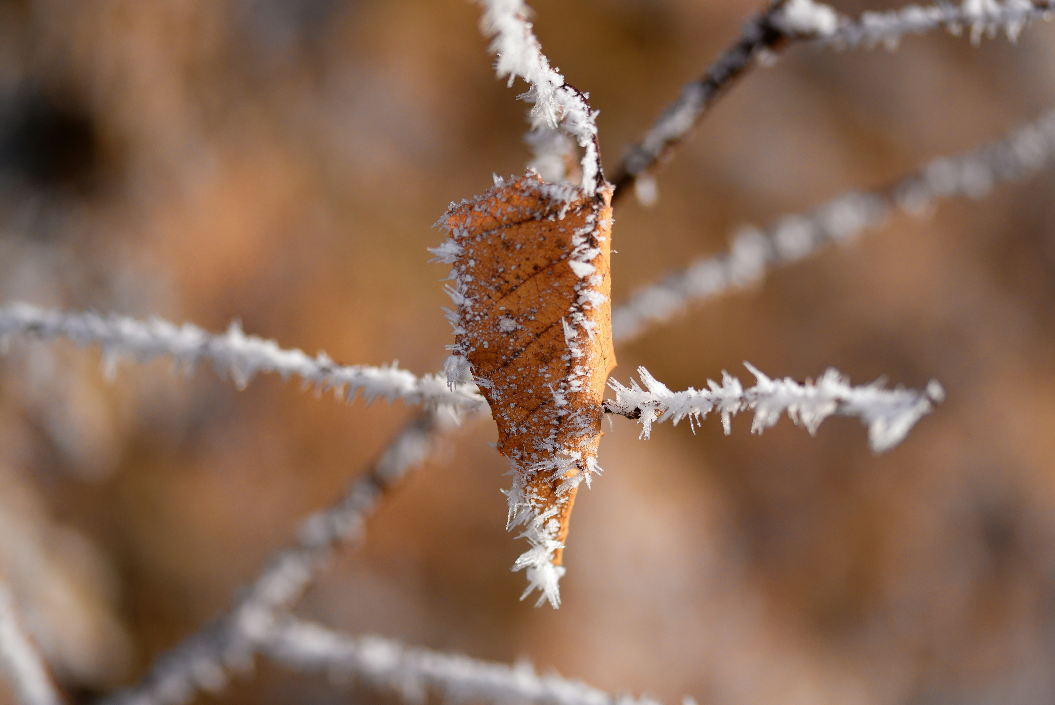 Photo by designbytholen