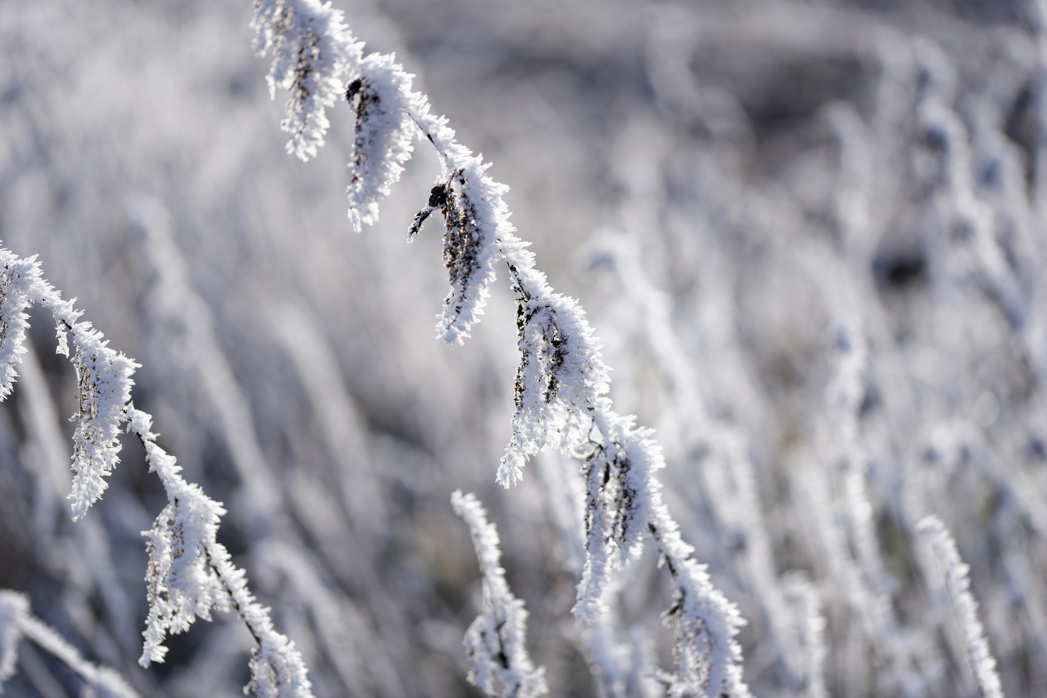 Photo by designbytholen