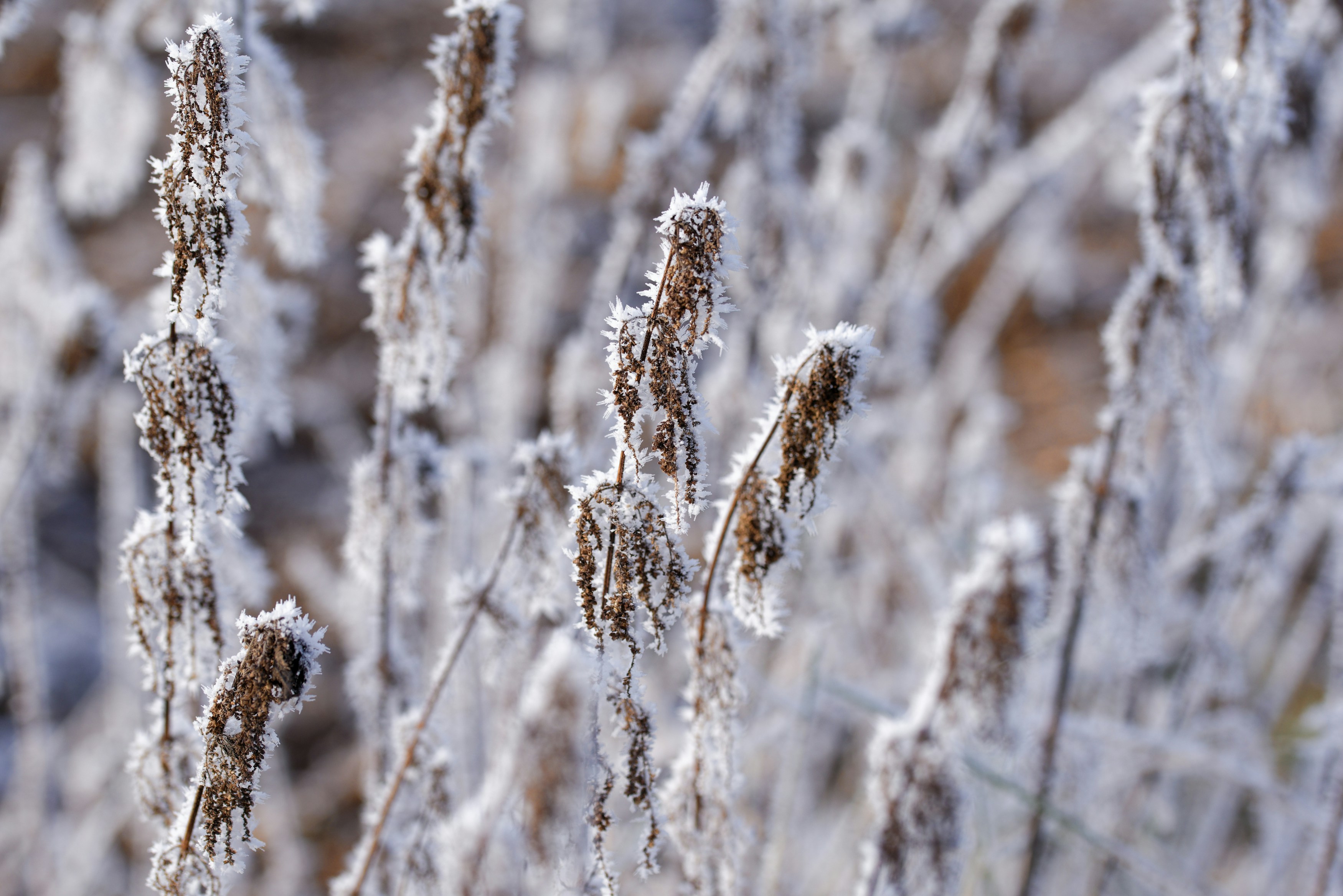 Photo by designbytholen