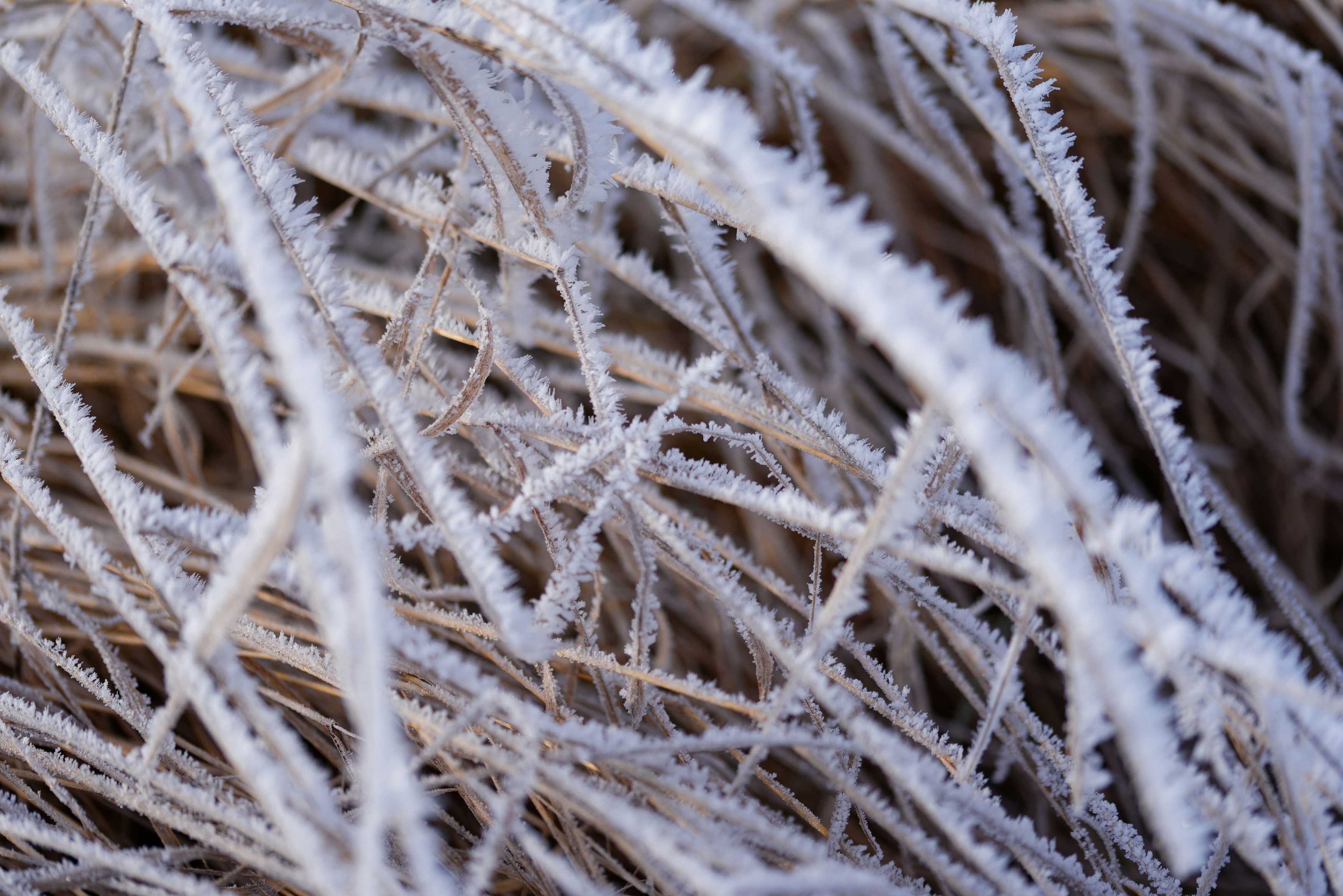 Photo by designbytholen