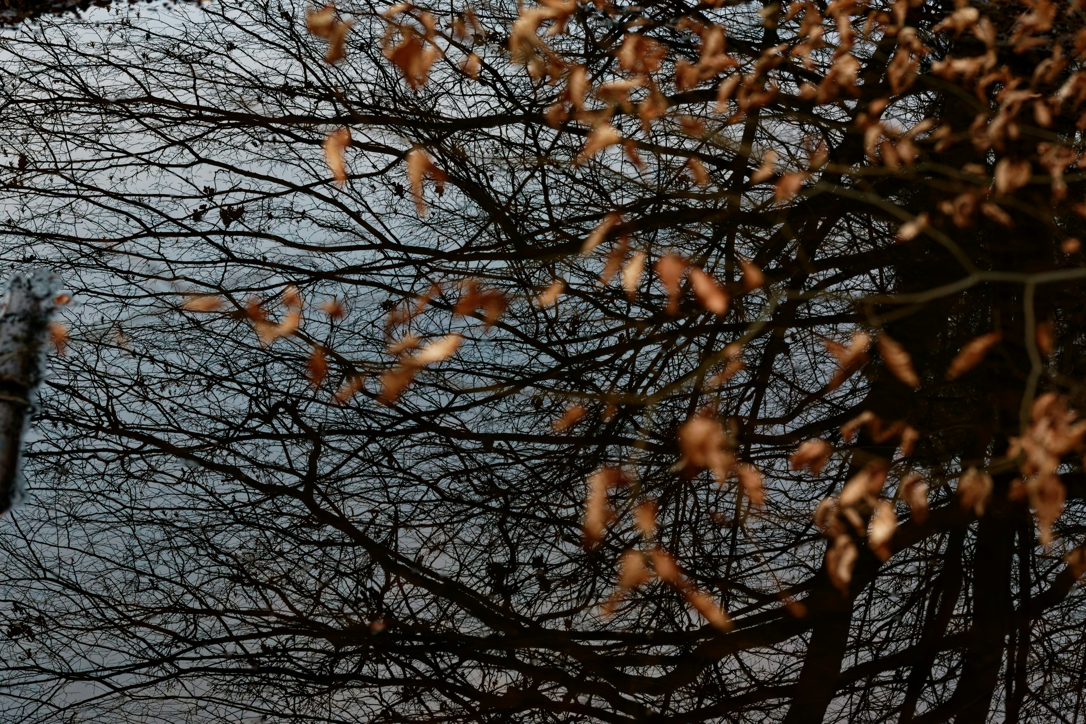 Photo by designbytholen