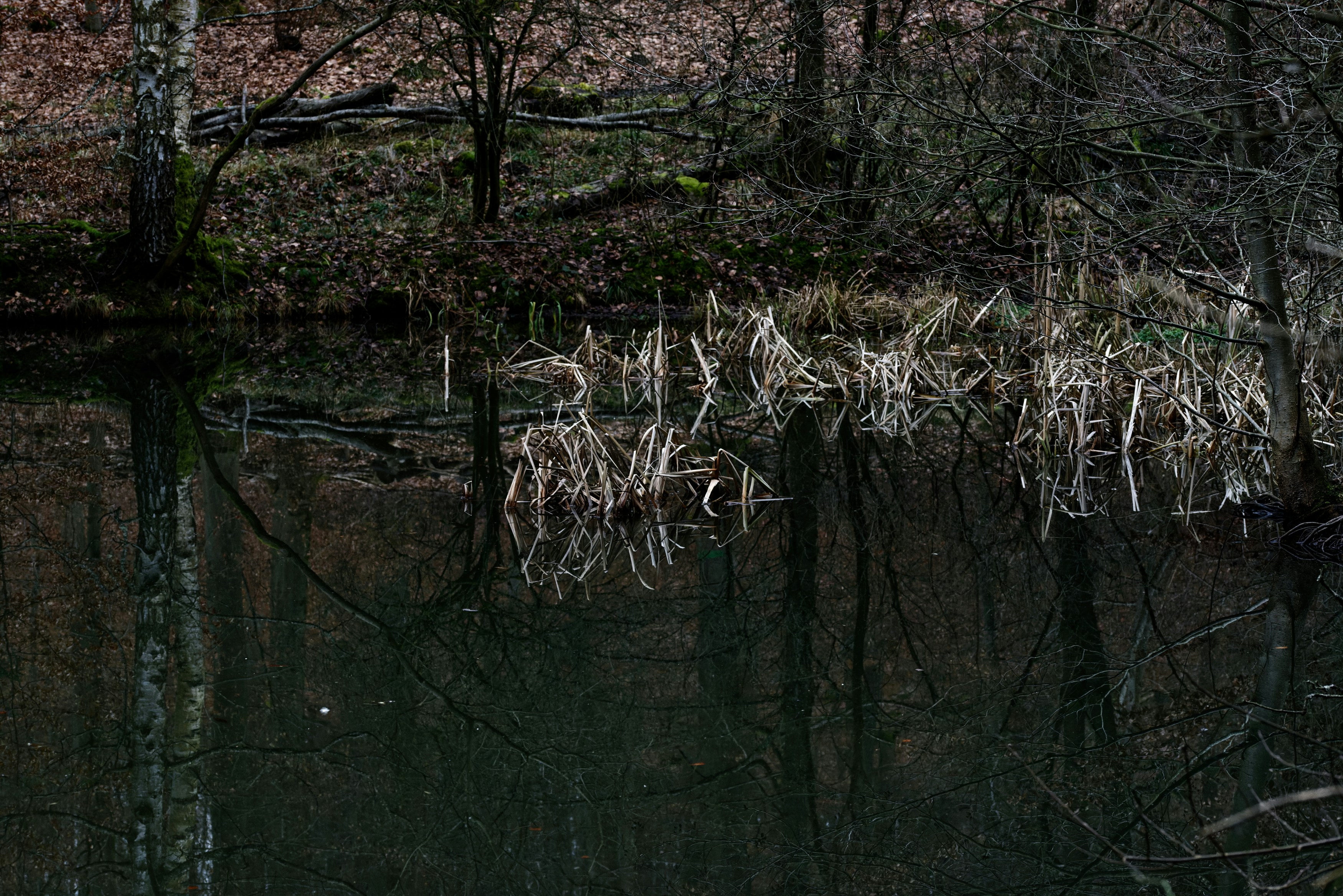 Photo by designbytholen