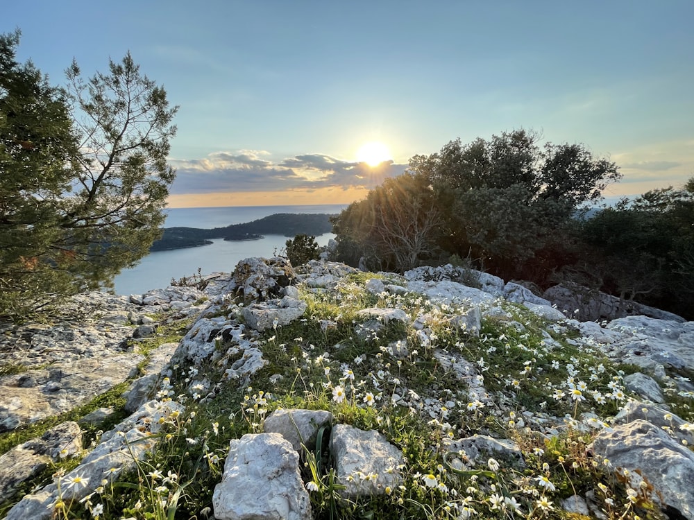 the sun is setting over the water from the top of a hill