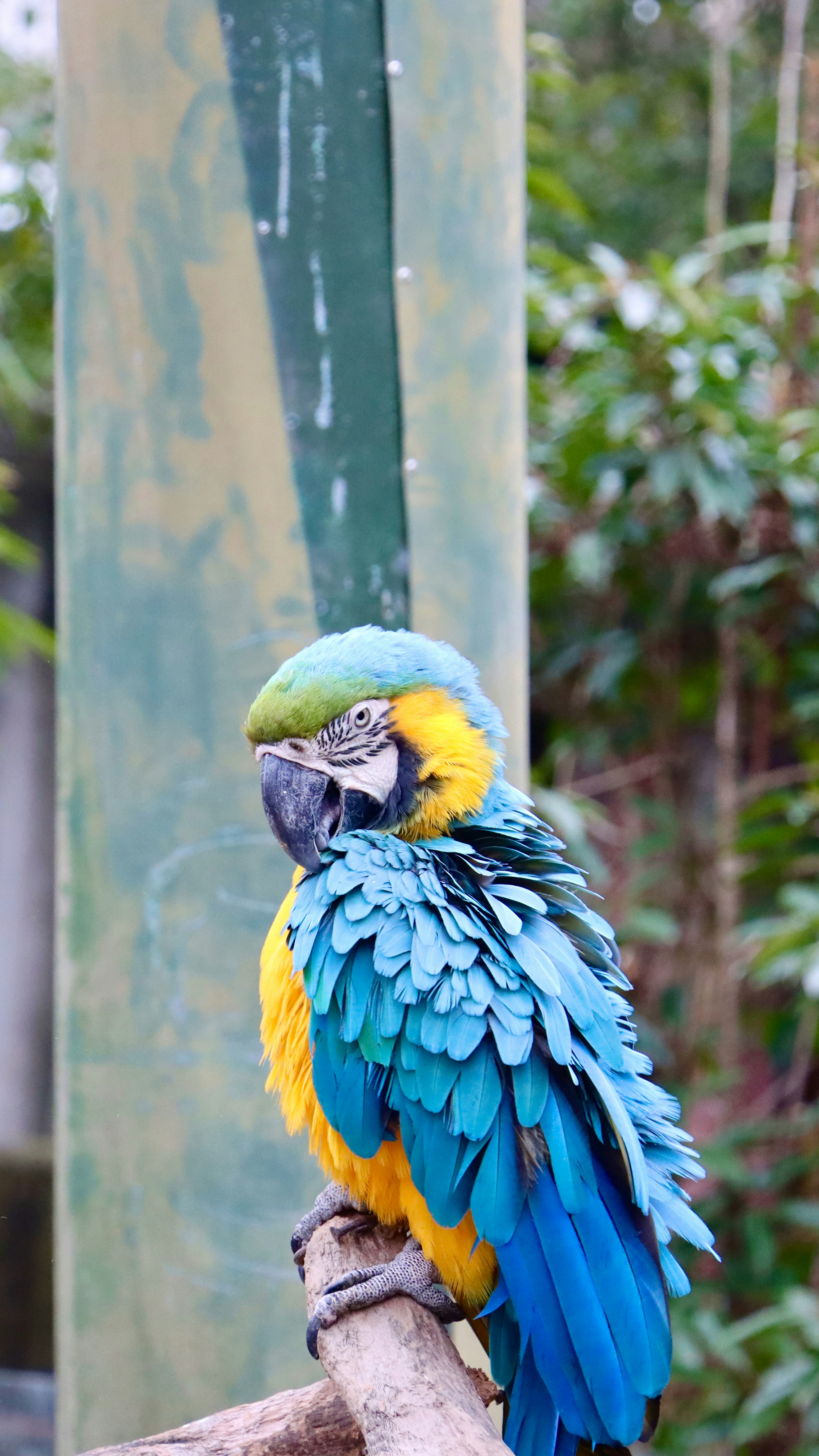 Photo by exploringzhongguo