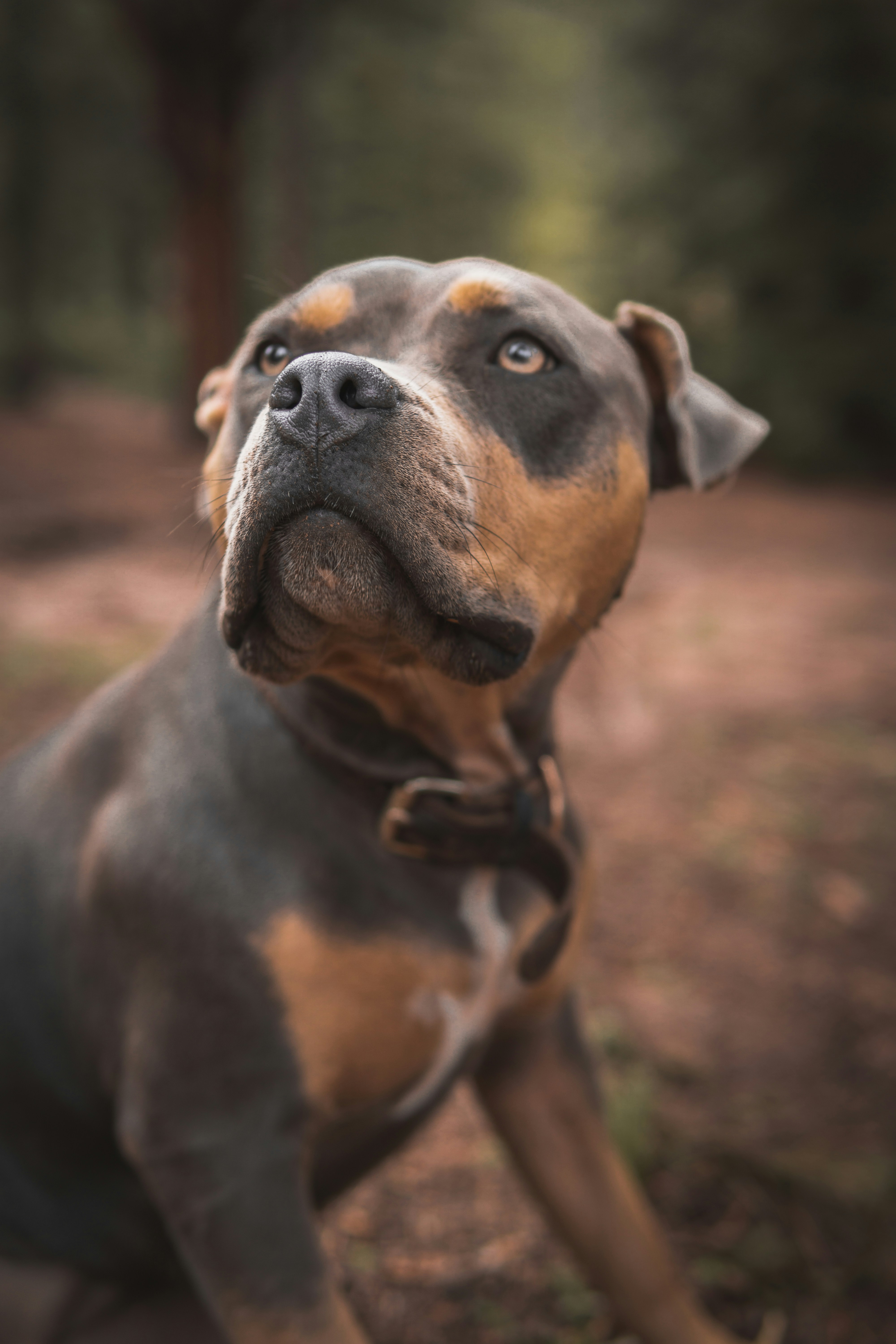 Photo by sethmaughan