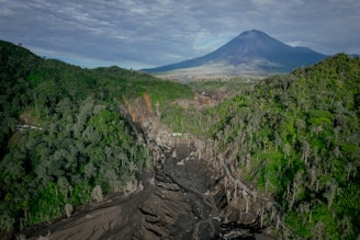 a view of a mountain with a forest below