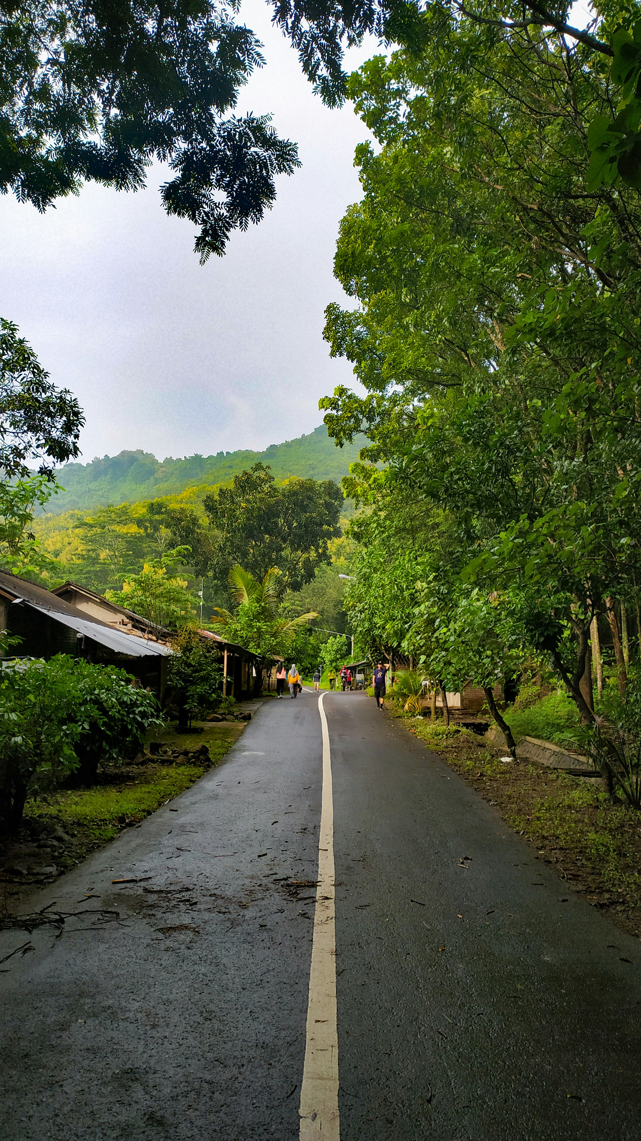 Photo by yusrilalim