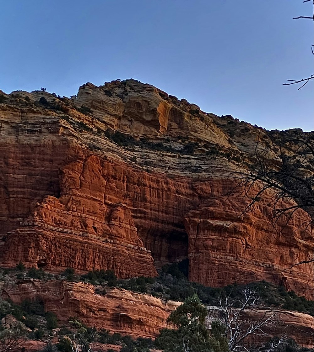 a rocky mountain with a tree in the foreground