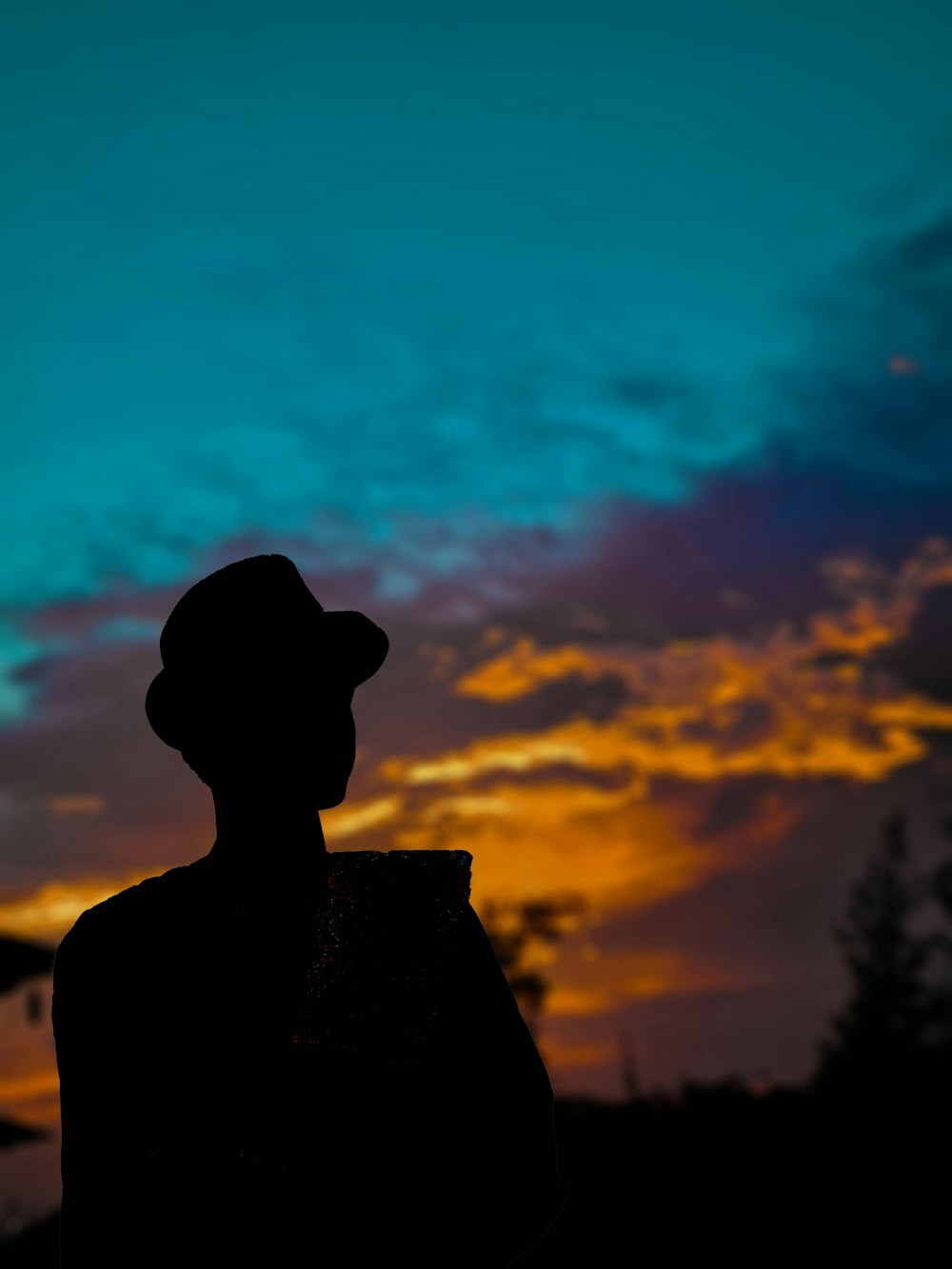 a silhouette of a man wearing a hat at sunset