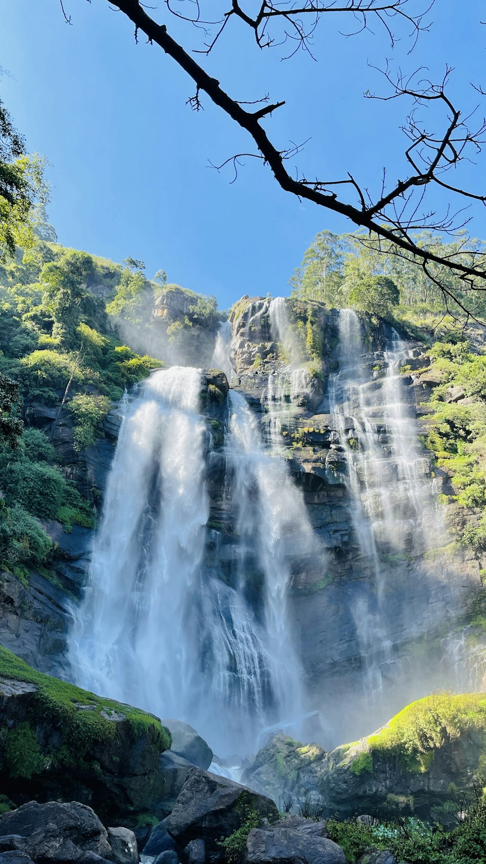 a very tall waterfall in the middle of a forest