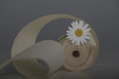 a white flower sitting on top of a roll of paper