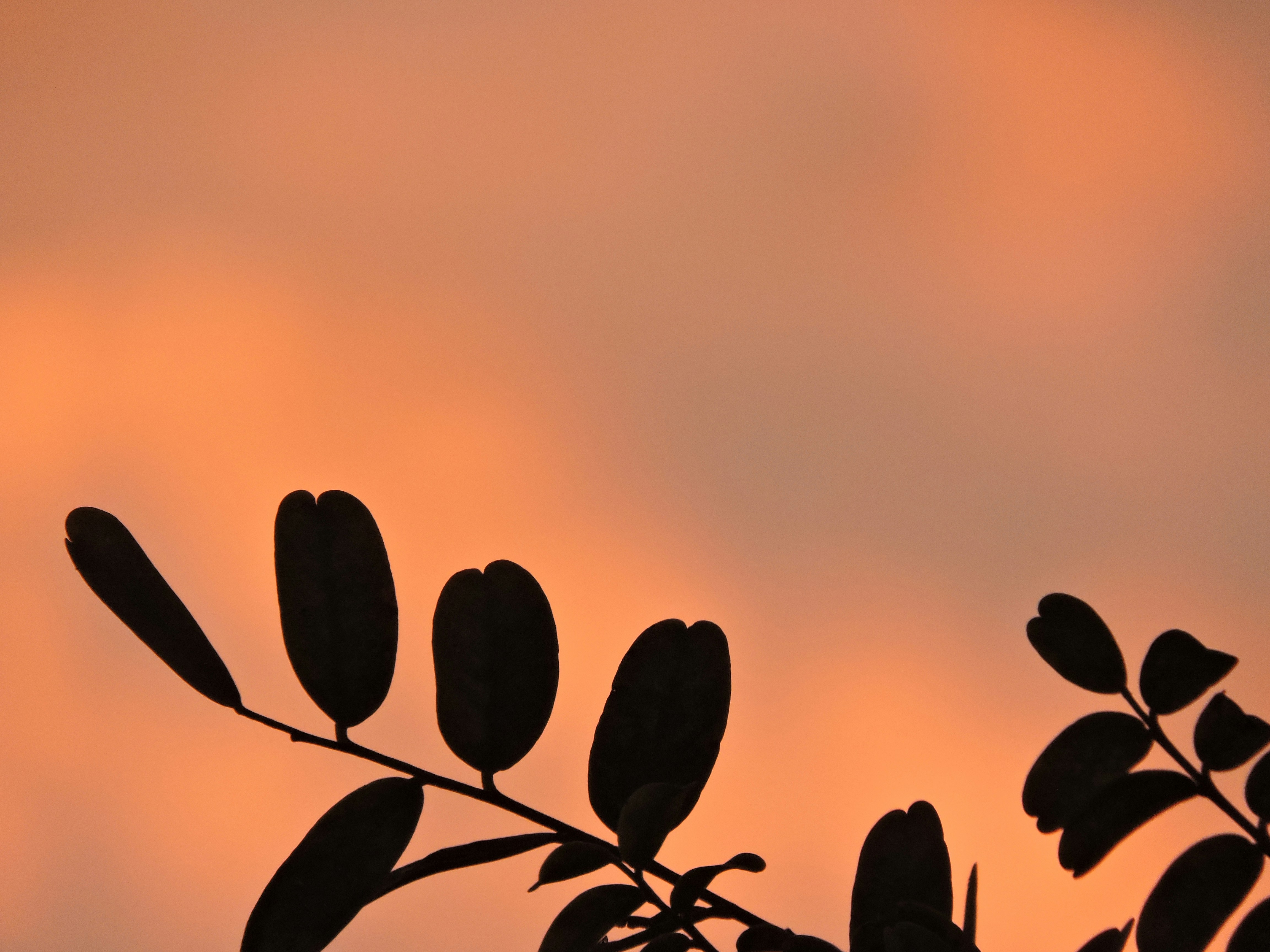 Photo by thisisoctavio