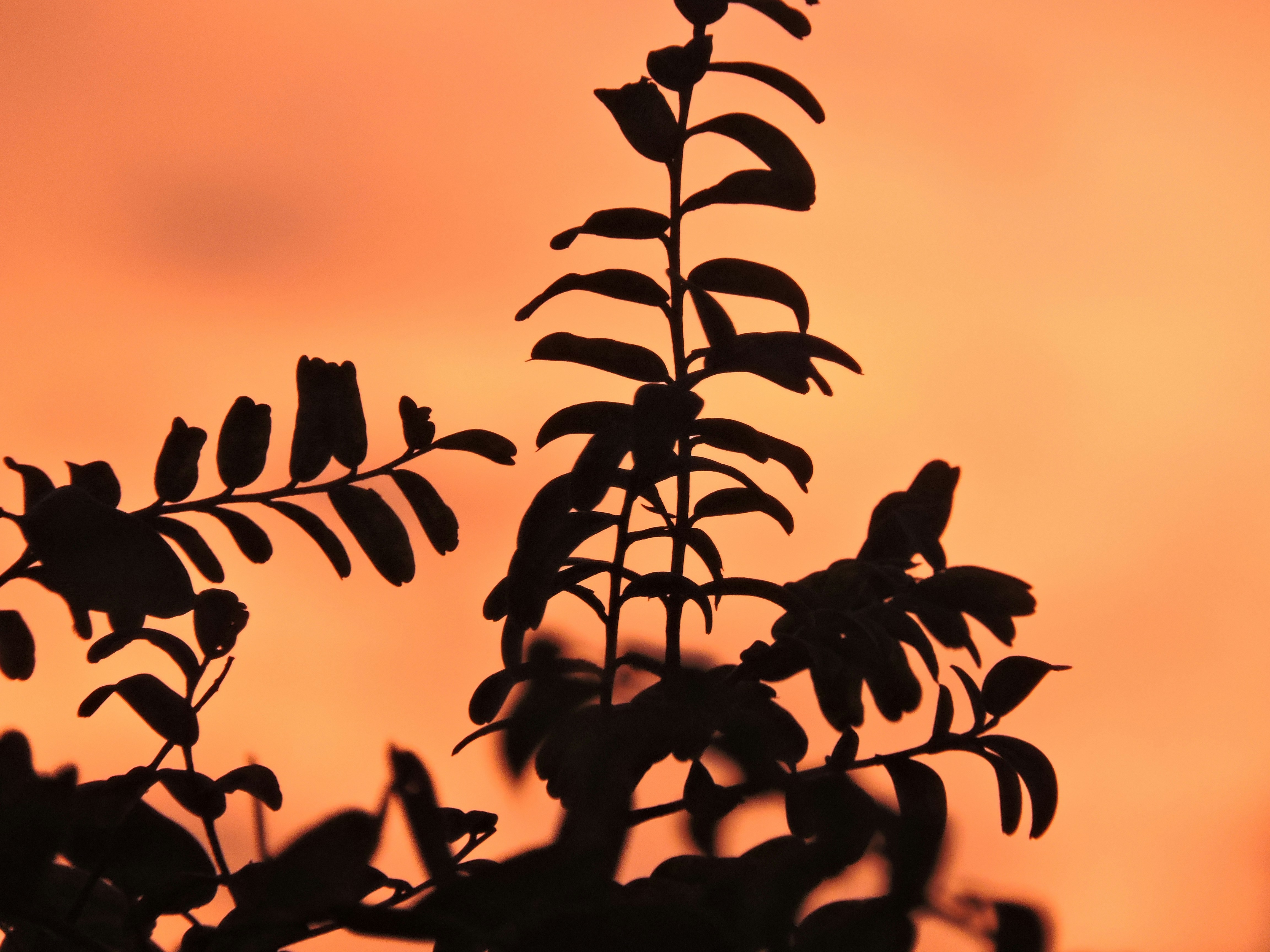 Photo by thisisoctavio