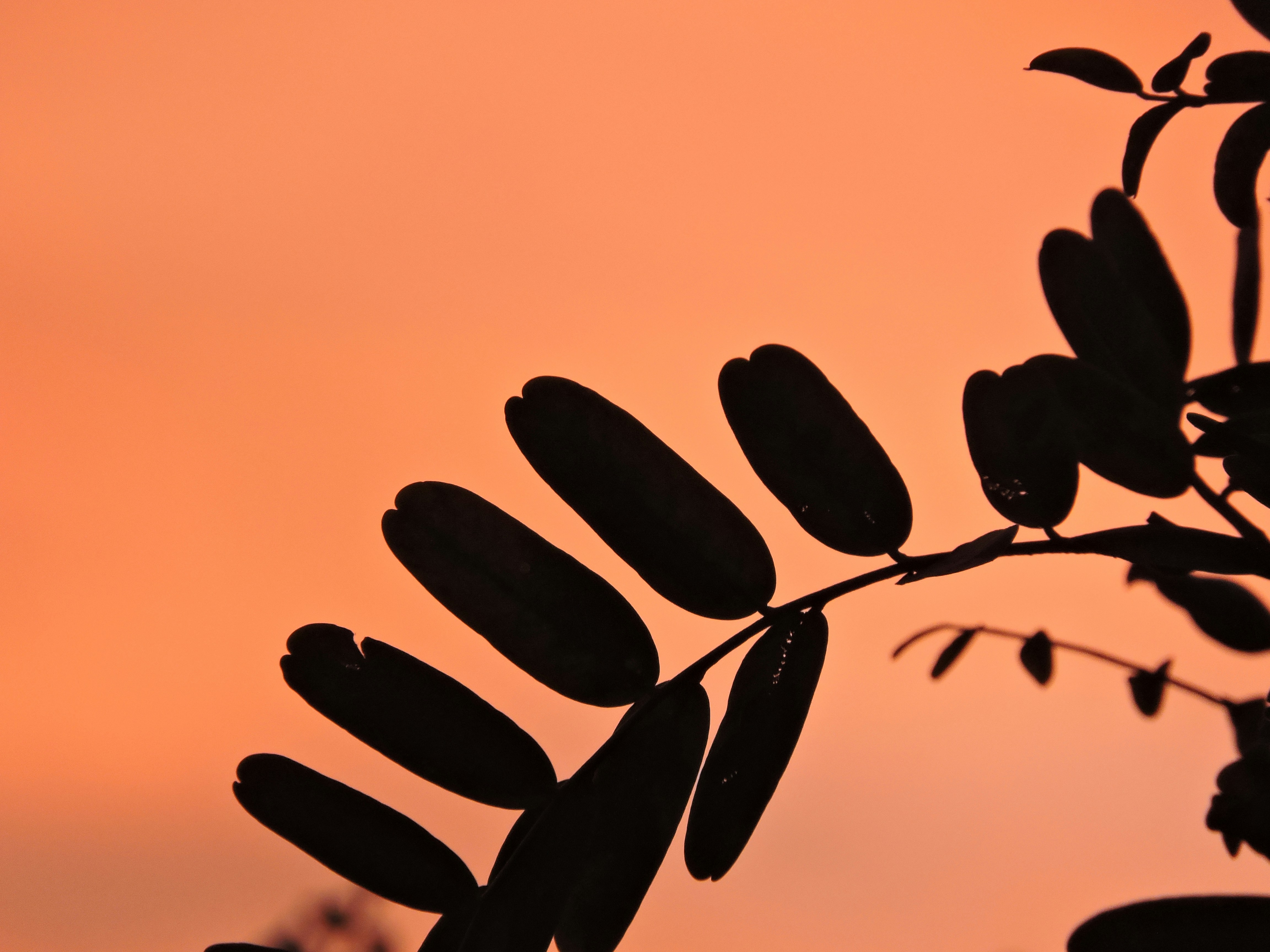 Photo by thisisoctavio