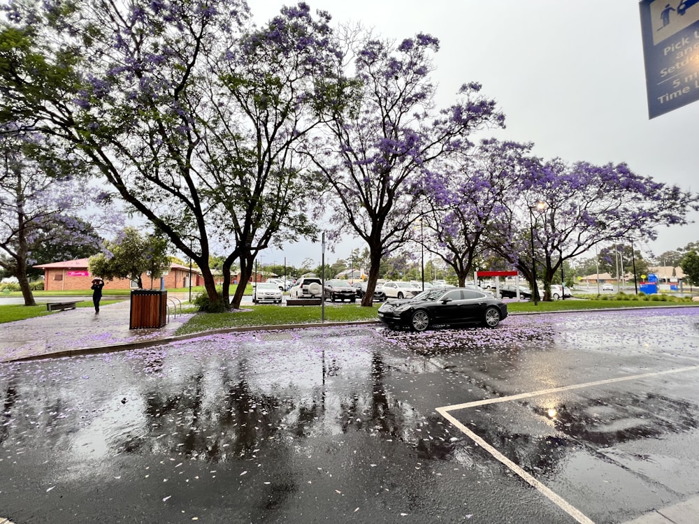 a car parked in a parking lot on a rainy day