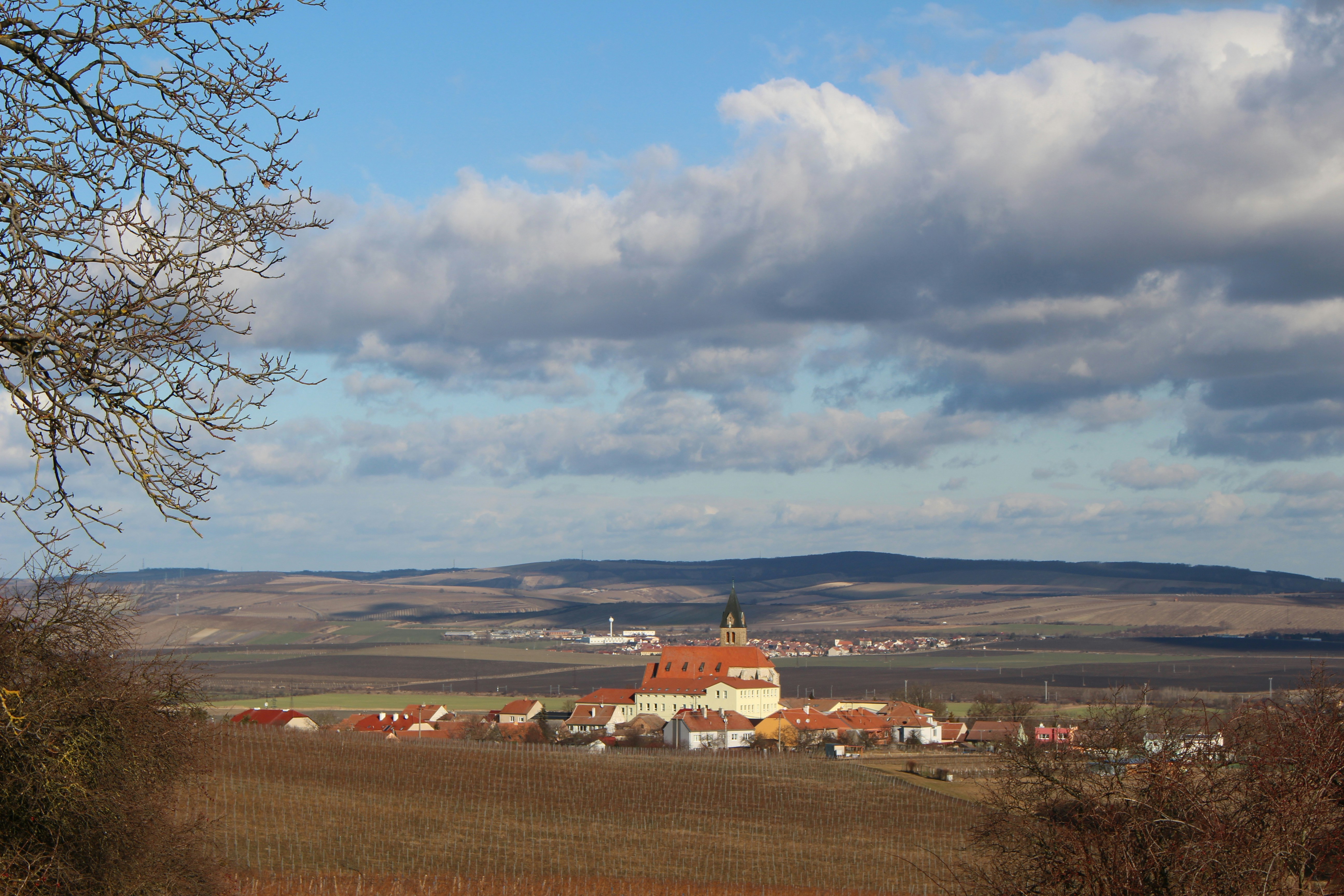 Photo by marjorylucabaxter