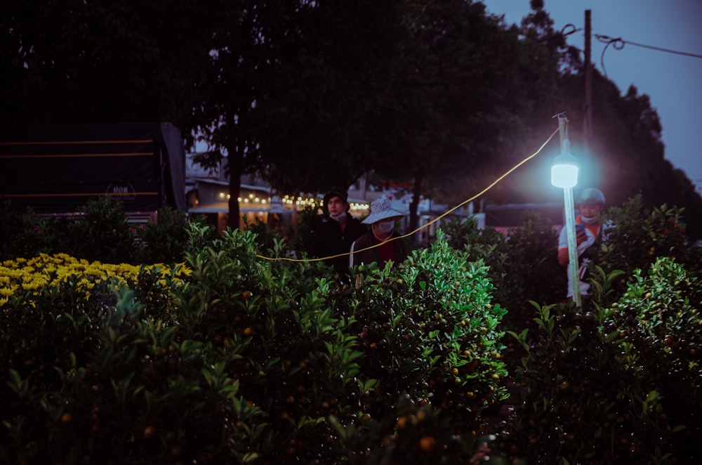 a man standing in the middle of a garden at night