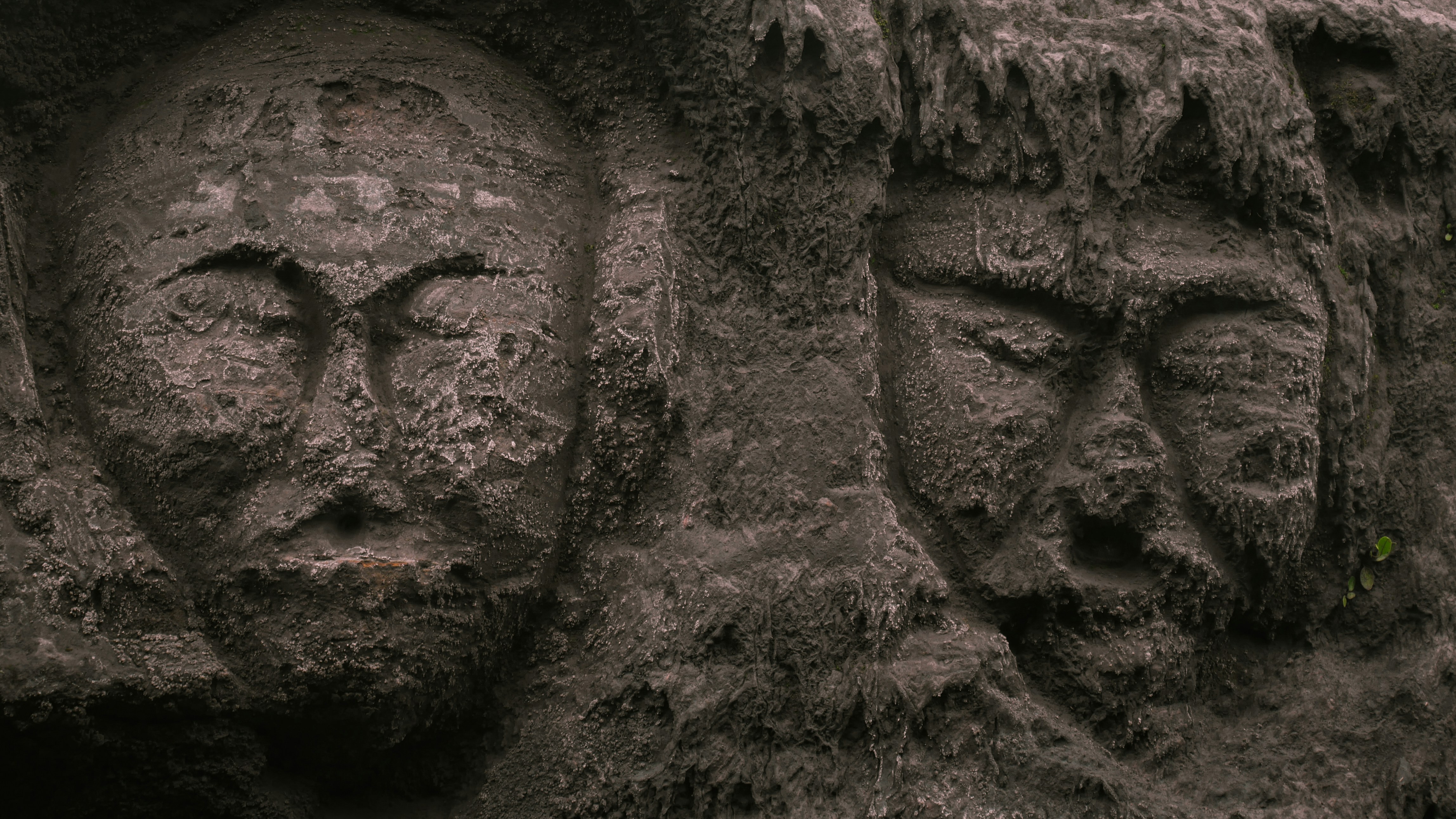 Phát Triển Chuyên Môn và Kiến Thức Đỉnh Cao