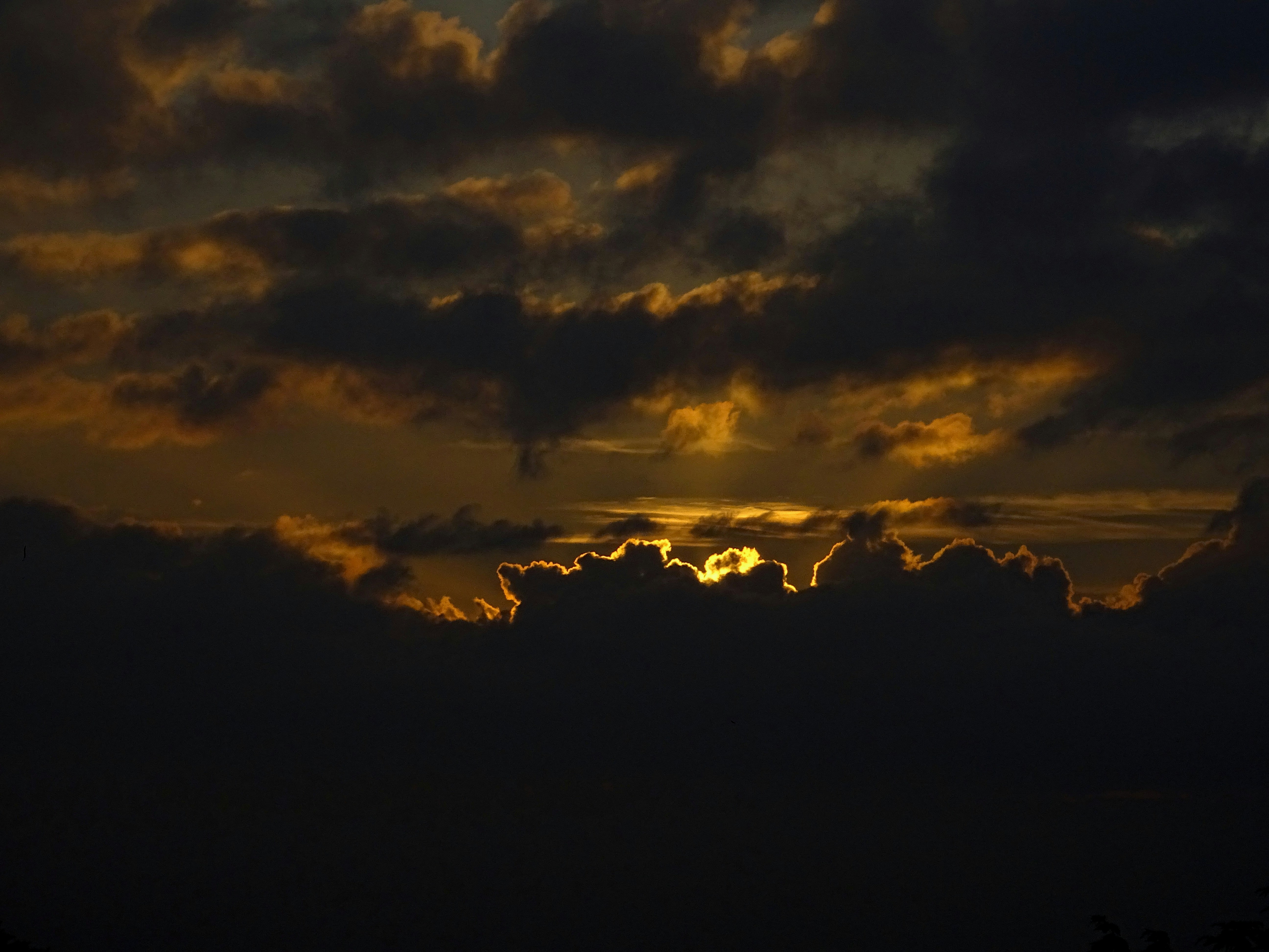 Photo by georgediama_exe