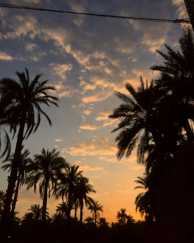 Ghardaïa & the M'zab Valley