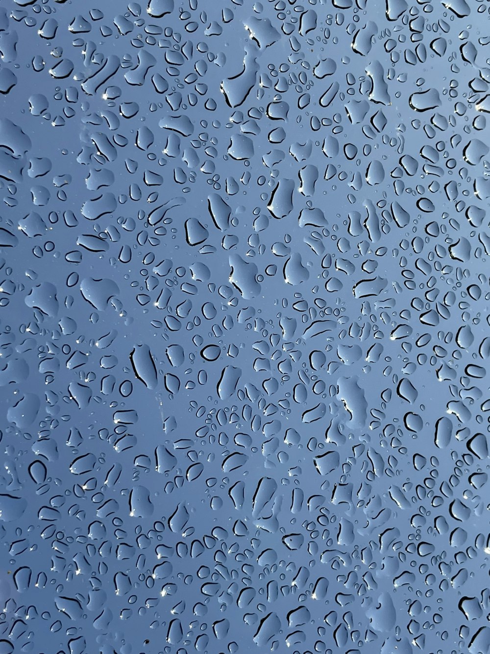 a close up of a street in the rain