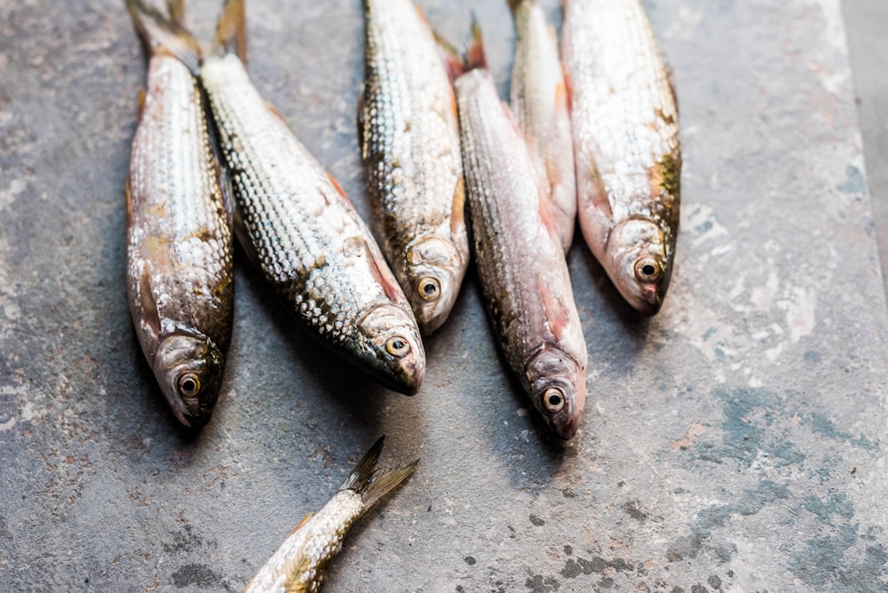 a bunch of fish that are on a table