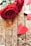 Two red roses are placed on a wooden surface. Near the roses, a small red paper heart is resting on the wood. The heart has small black dots, contributing to a romantic and delicate atmosphere. The wooden background adds a rustic charm to the composition.