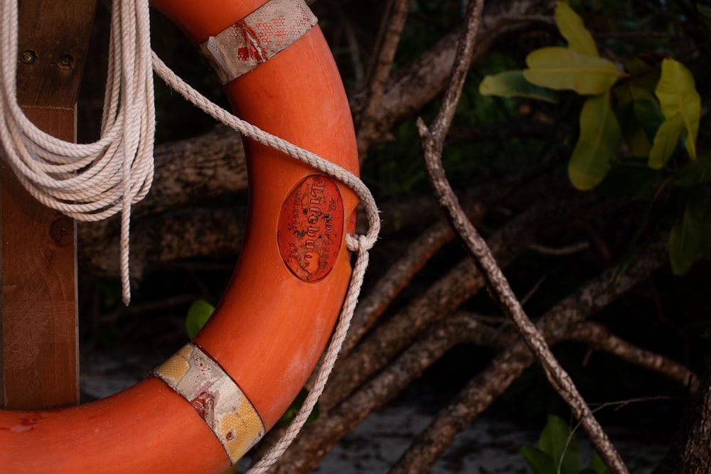 an orange life preserver hanging from a tree